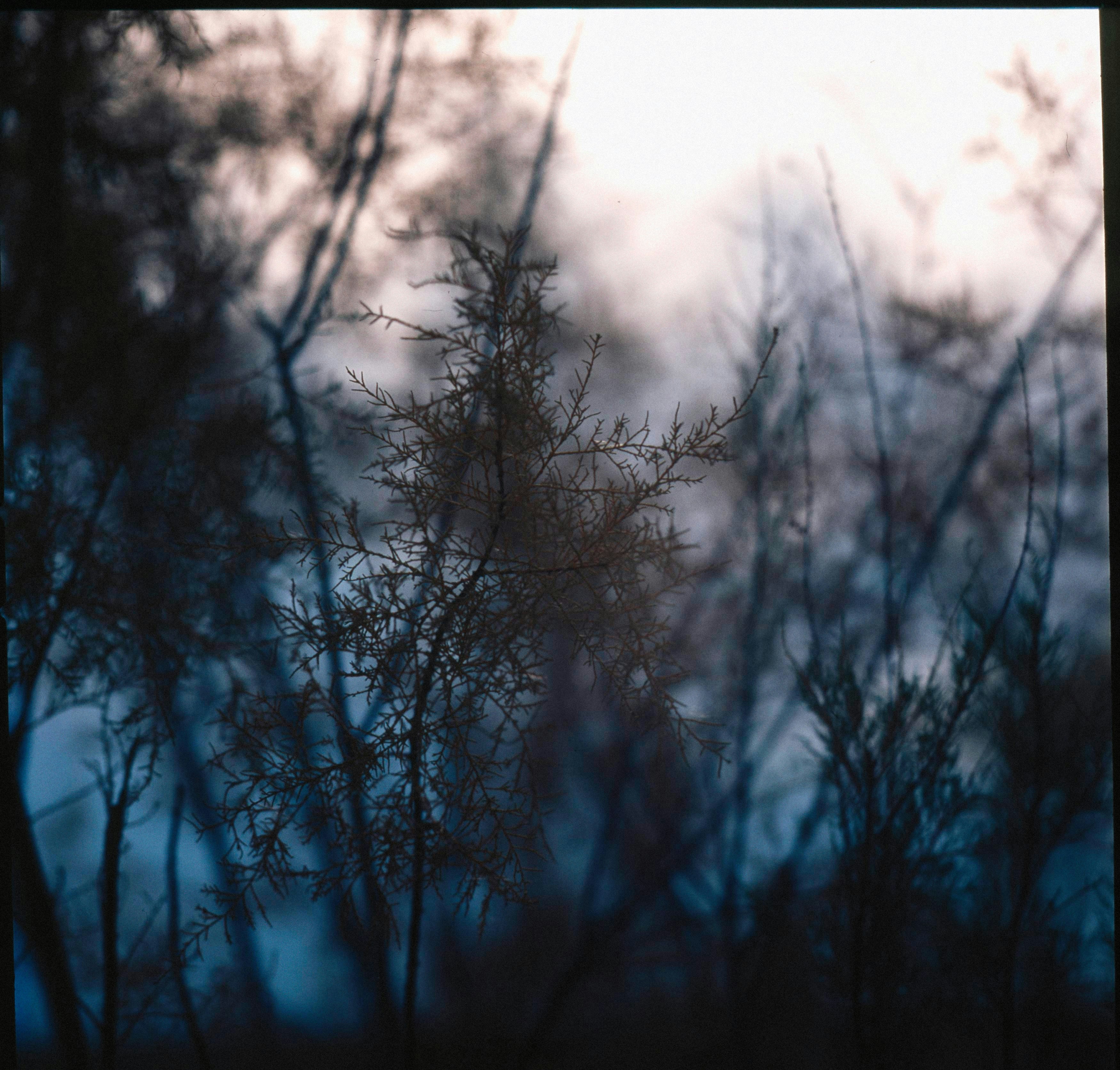 Photo by alexeydemidov