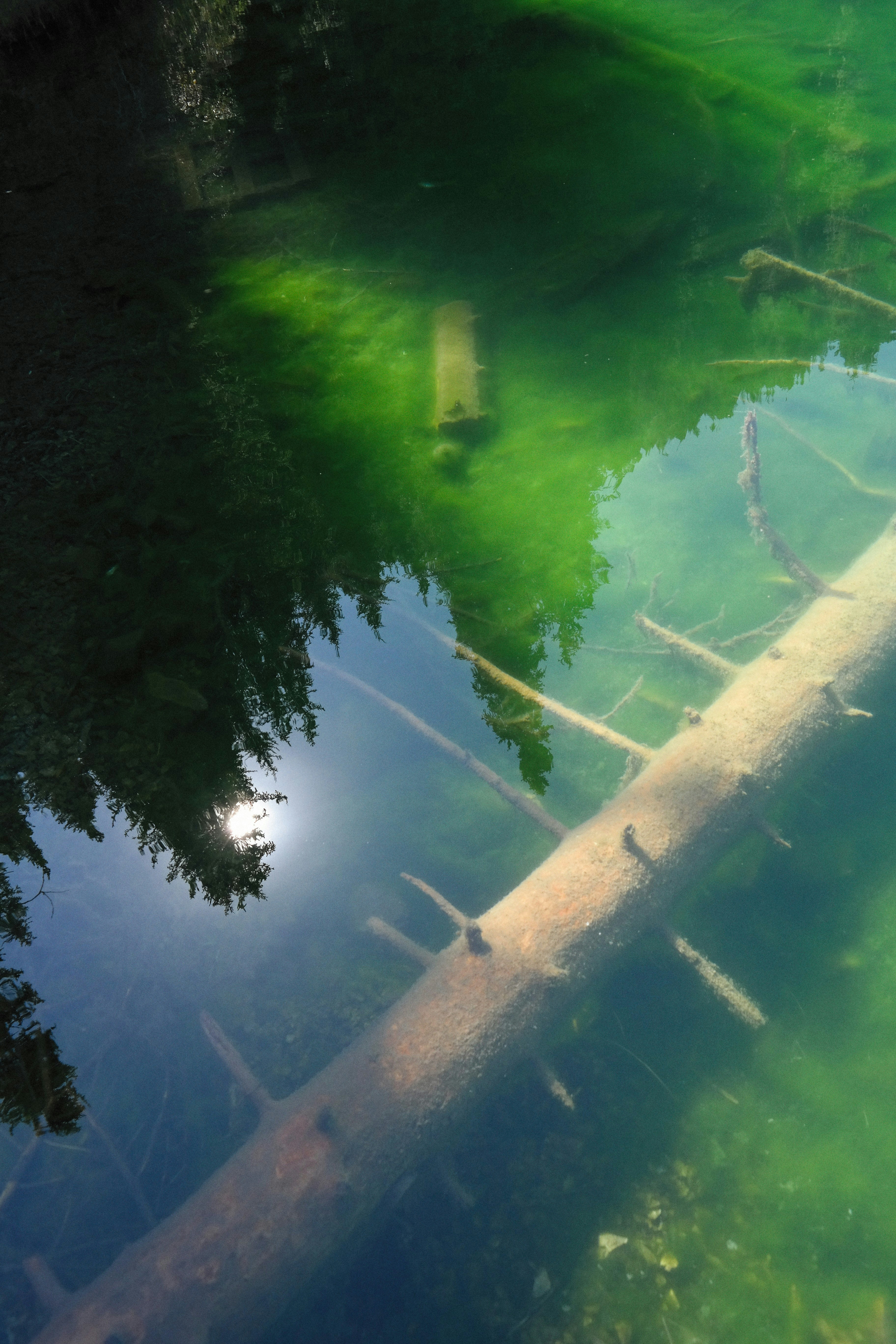 Photo by alexeydemidov