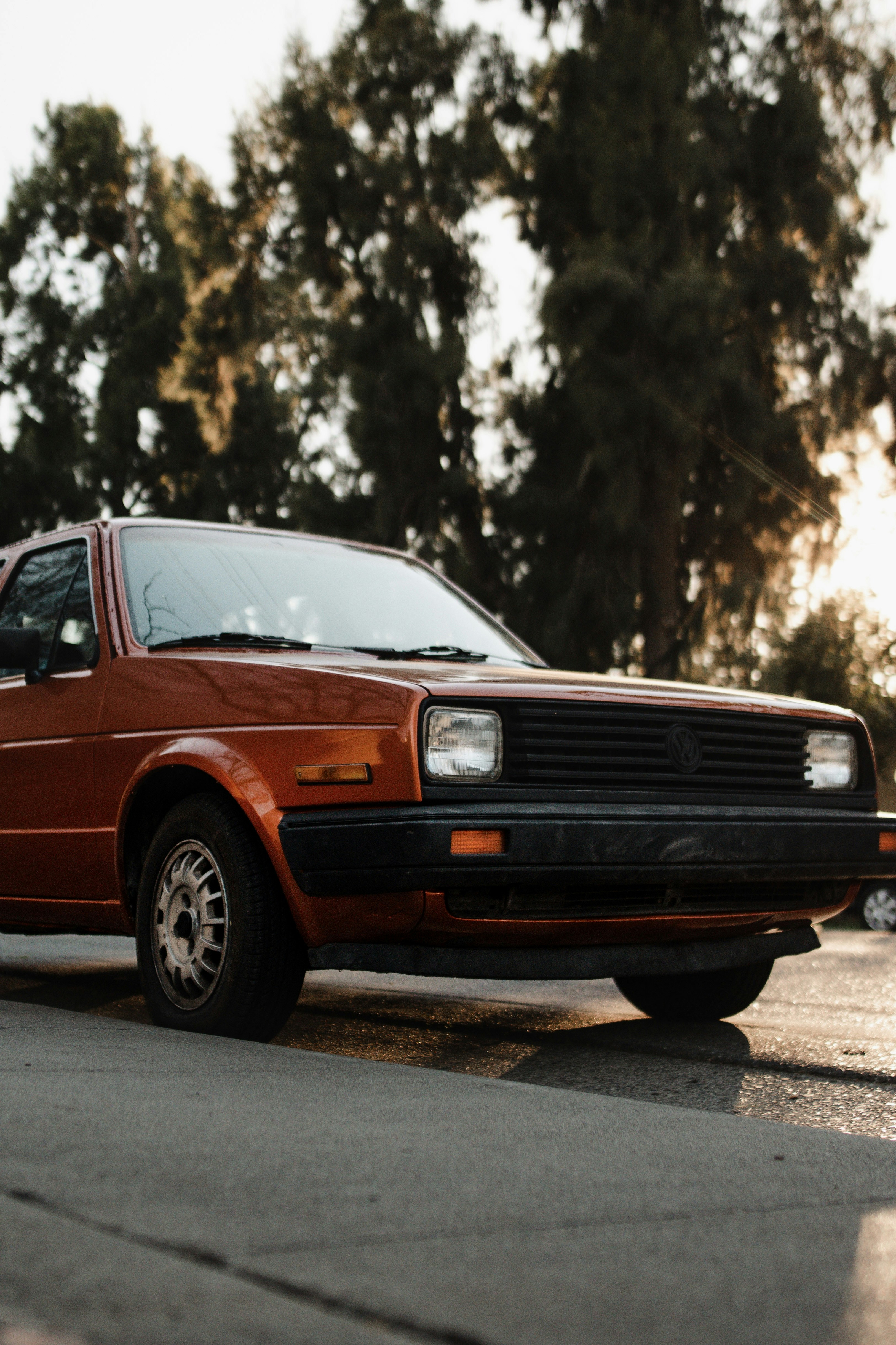 Photo by daniellestein