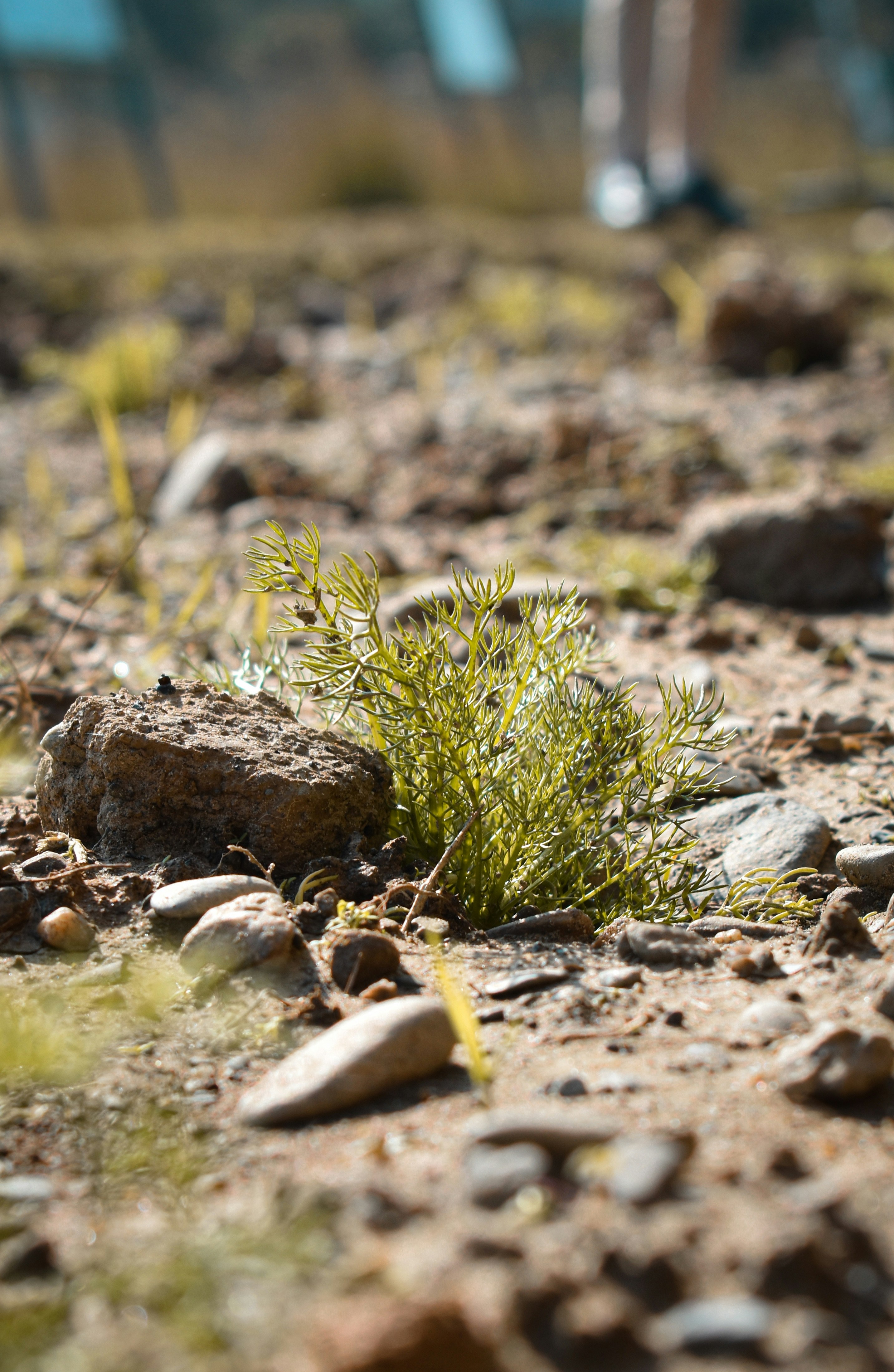 Photo by siddhhartha