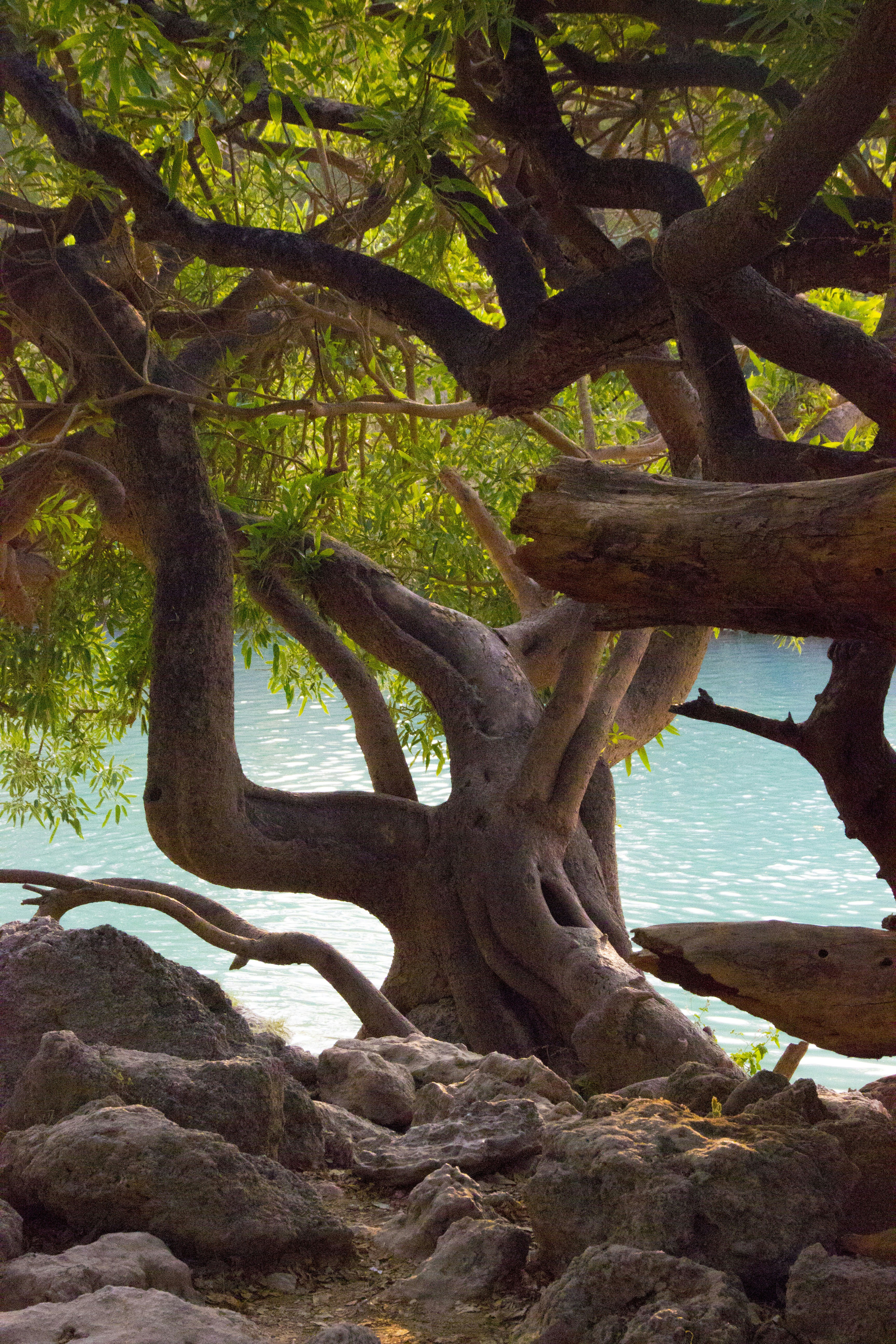 clean water wallpaper, wallpaper, 7 Cara Mencegah Pencemaran Air untuk Lingkungan Sehat 4