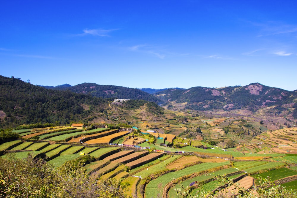 a scenic view of a rice field with mountains in the background