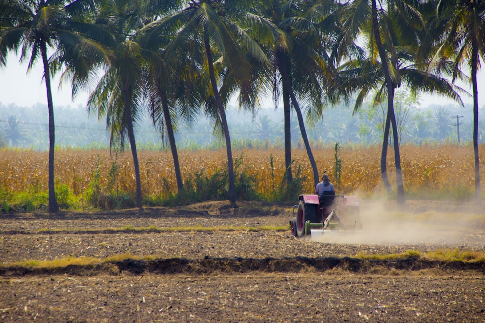 a man driving a tractor in a corn field