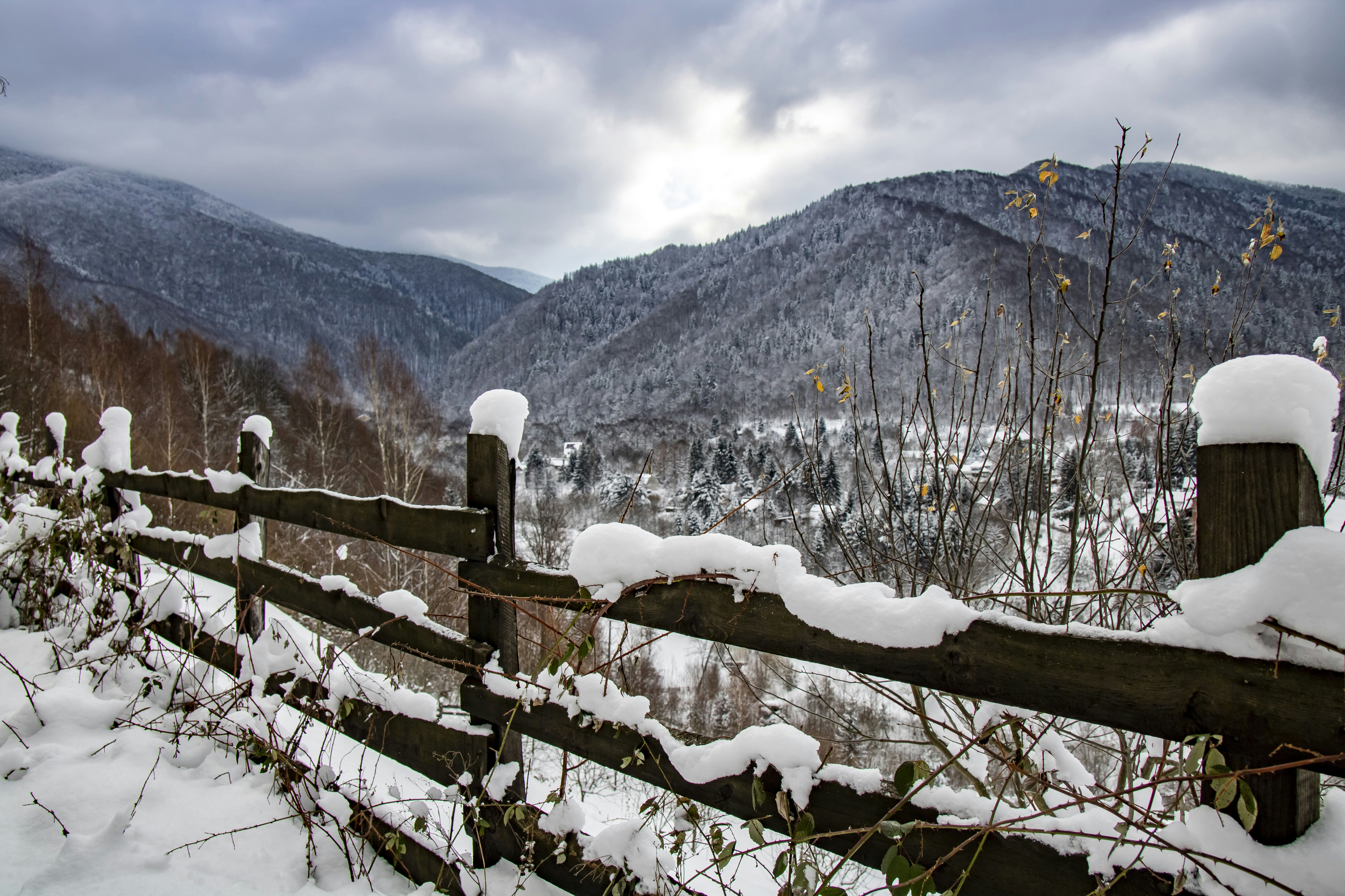 Photo by ovidiugruescu