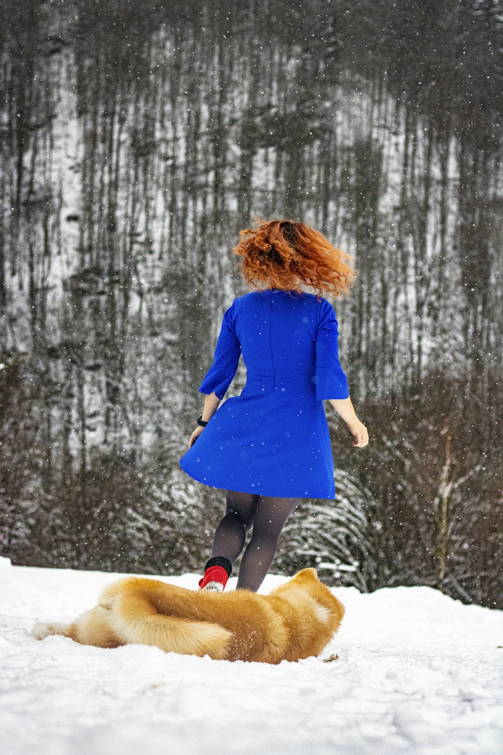 a woman in a blue dress walking a dog in the snow