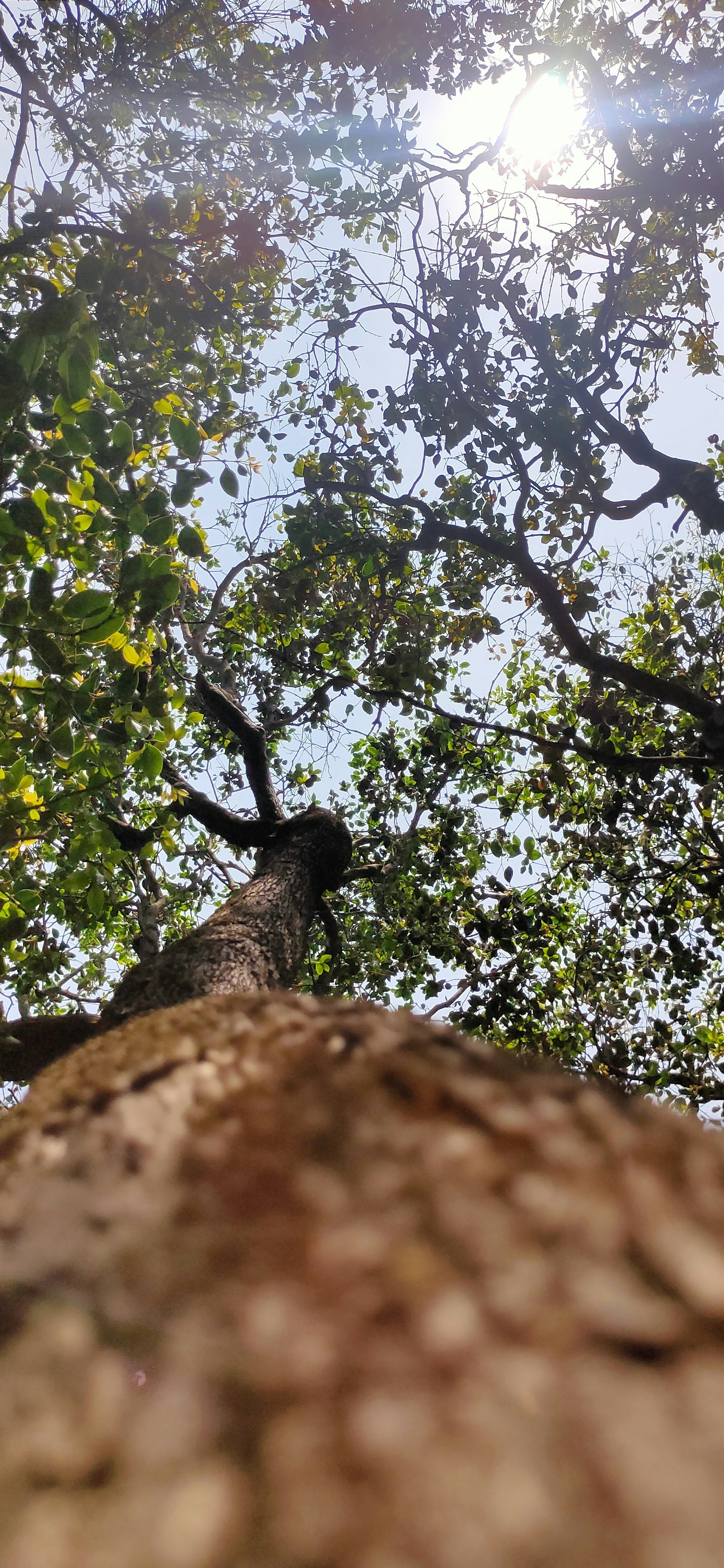 Photo by happy_potatoe