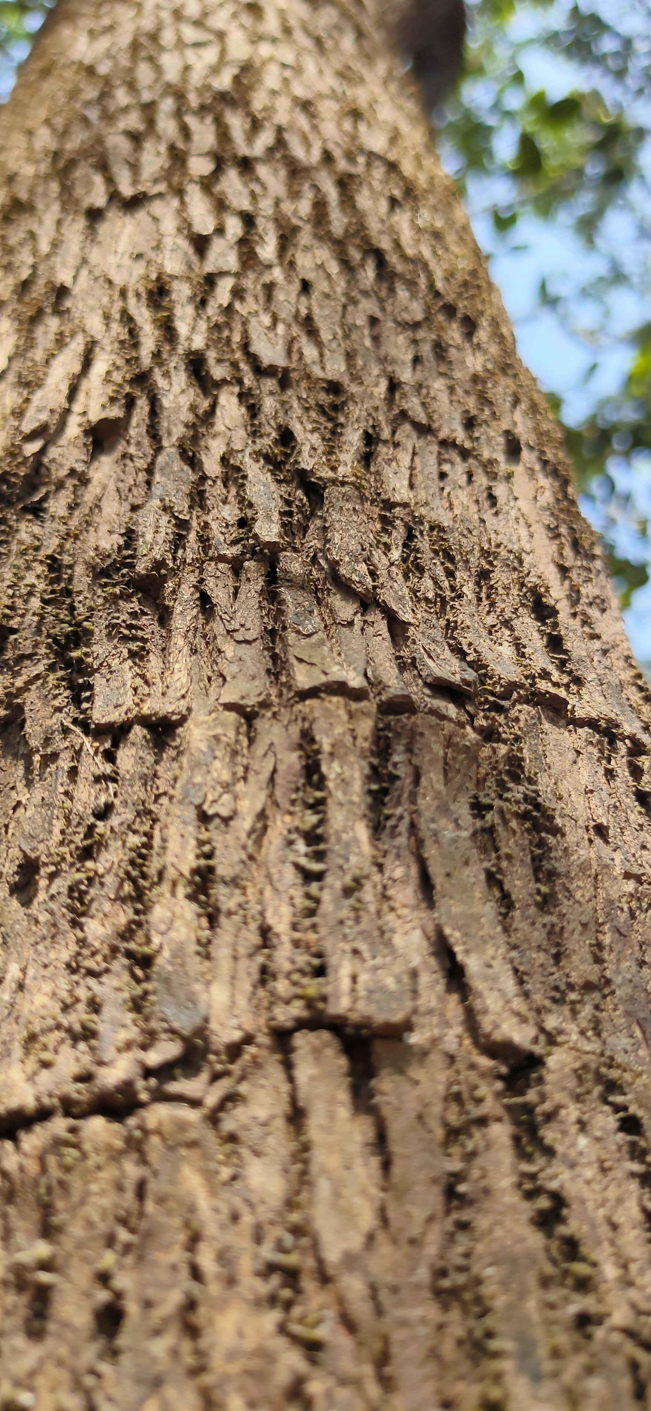 Photo by happy_potatoe