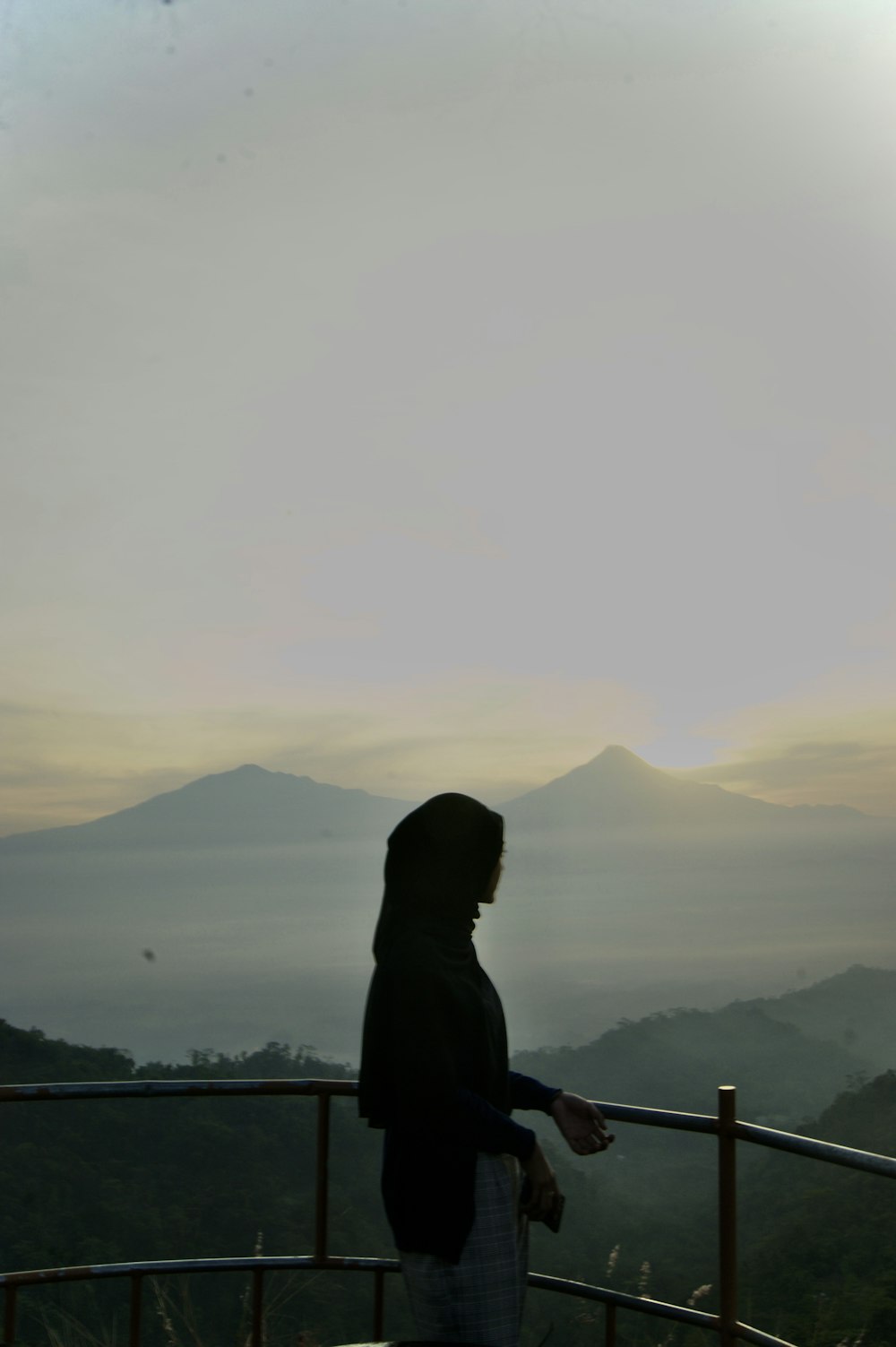 a woman standing on top of a metal fence