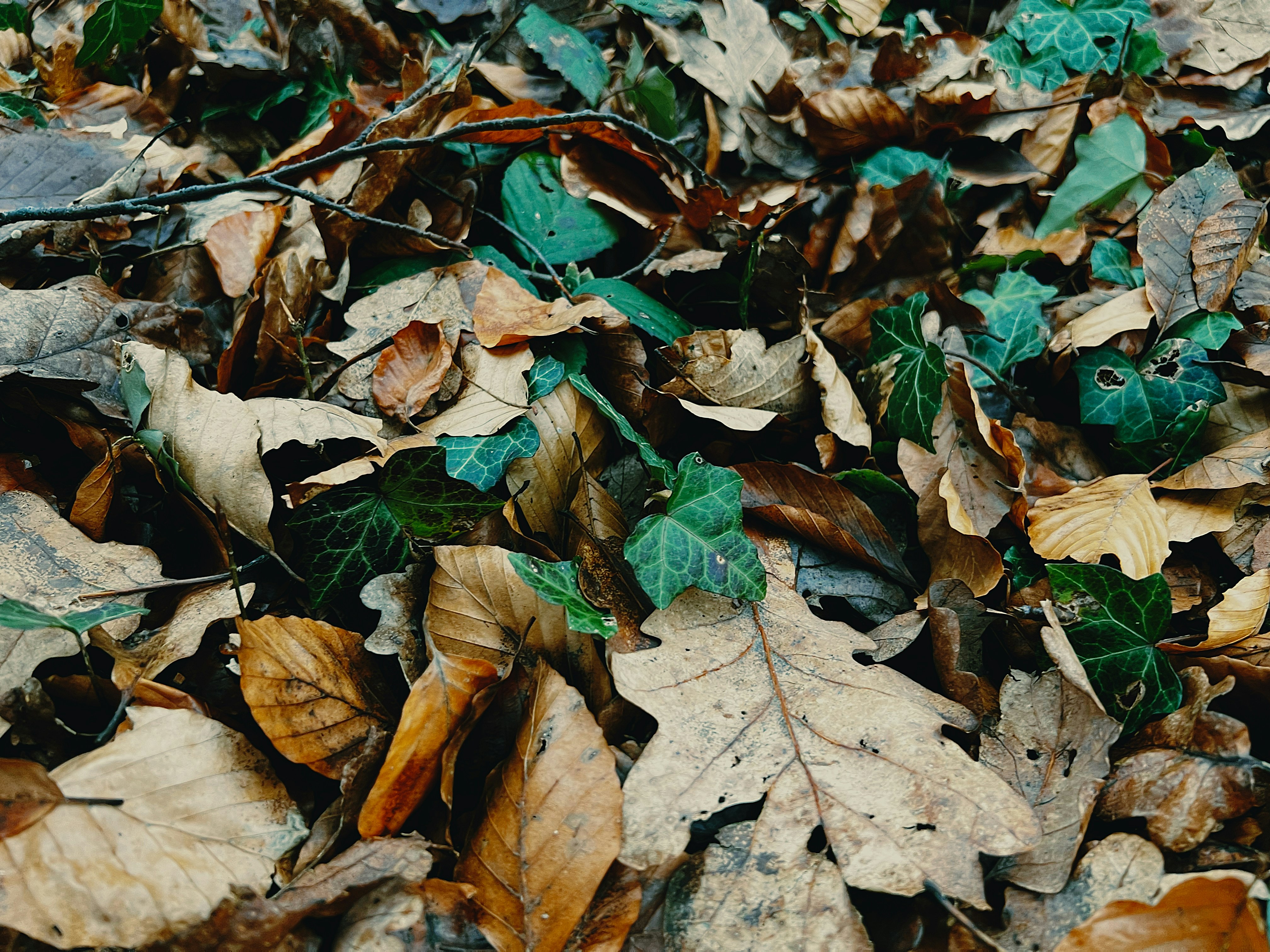 Photo by kommunismus