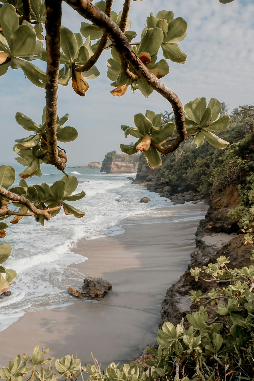 a view of a beach from a cliff