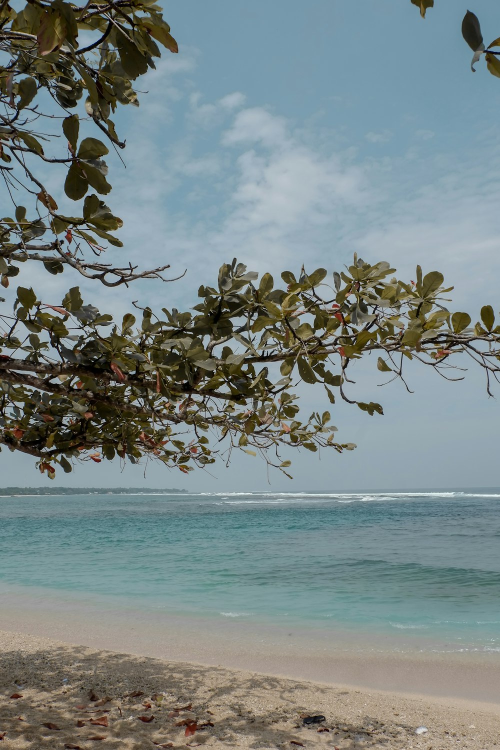 a view of the ocean from a sandy beach