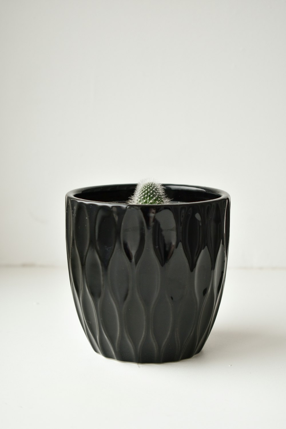 a black pot with a small cactus in it