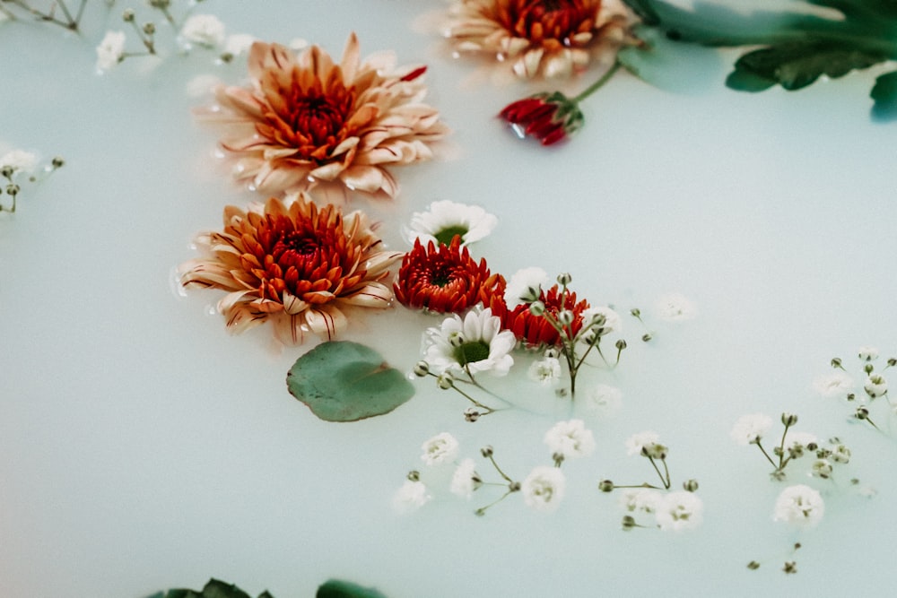 a bunch of flowers that are on a table