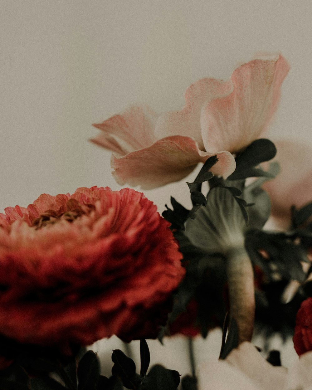 a bunch of flowers that are on a table