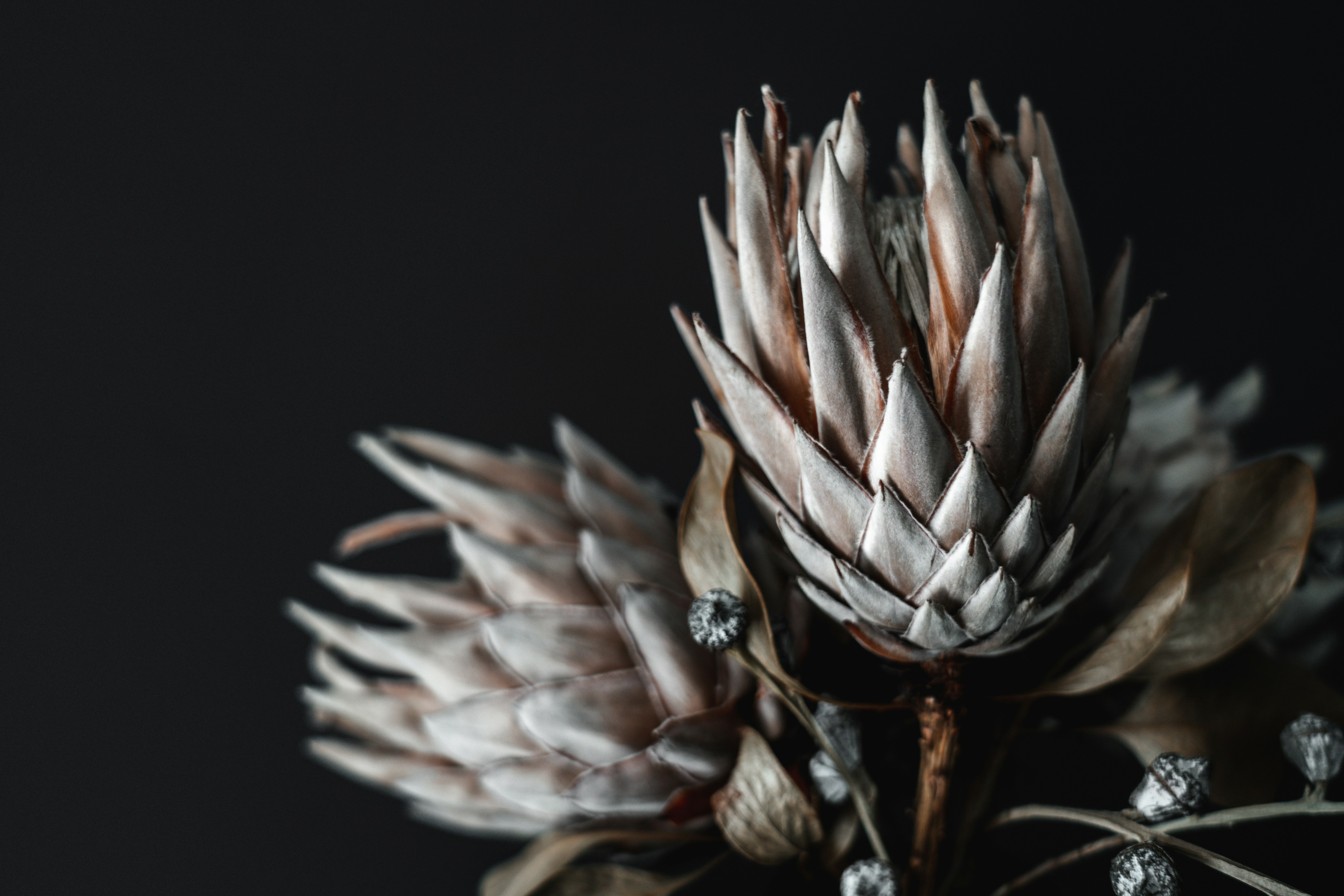 Photo by cate_brodersen