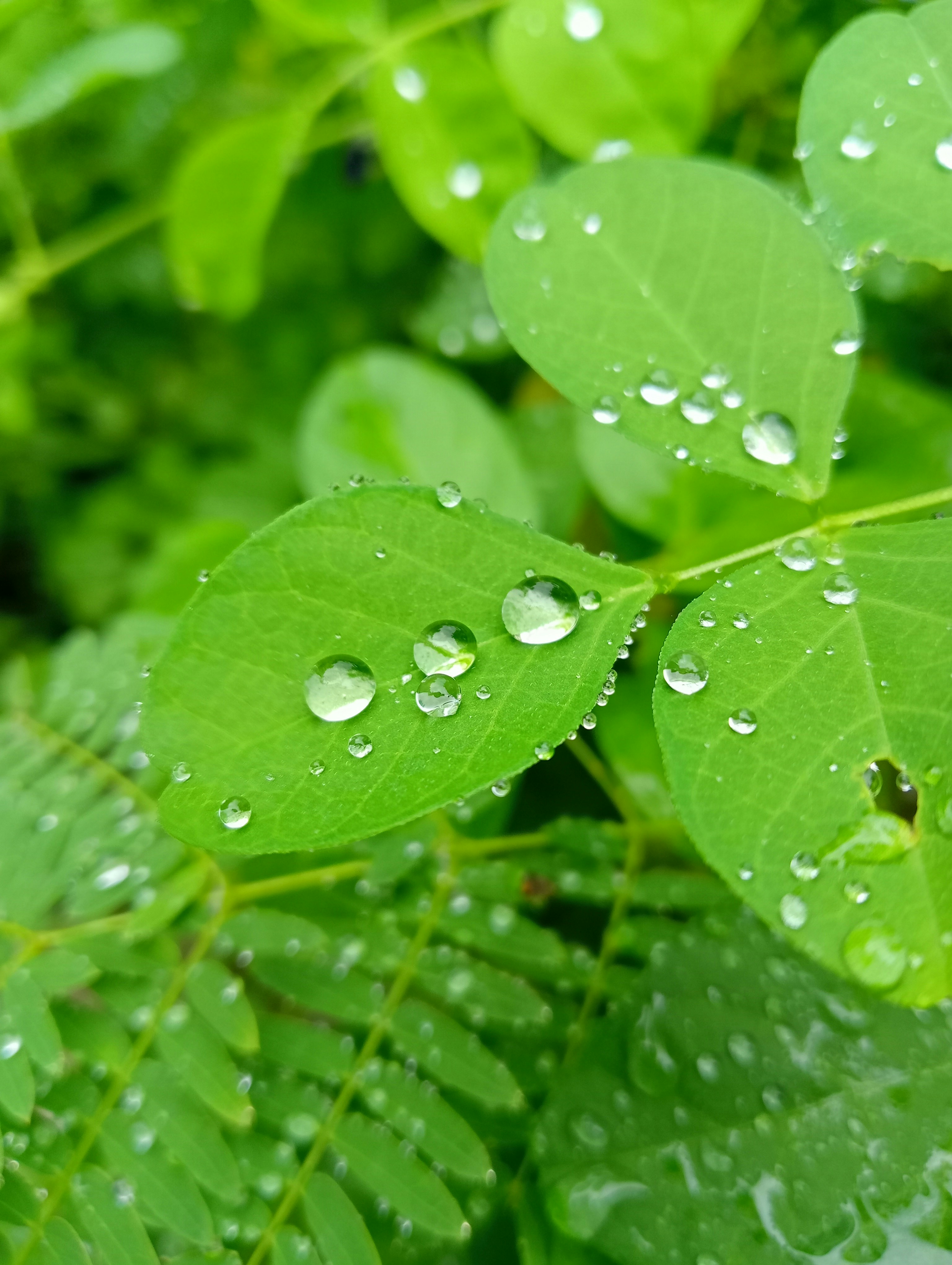 Photo by antonius_jp