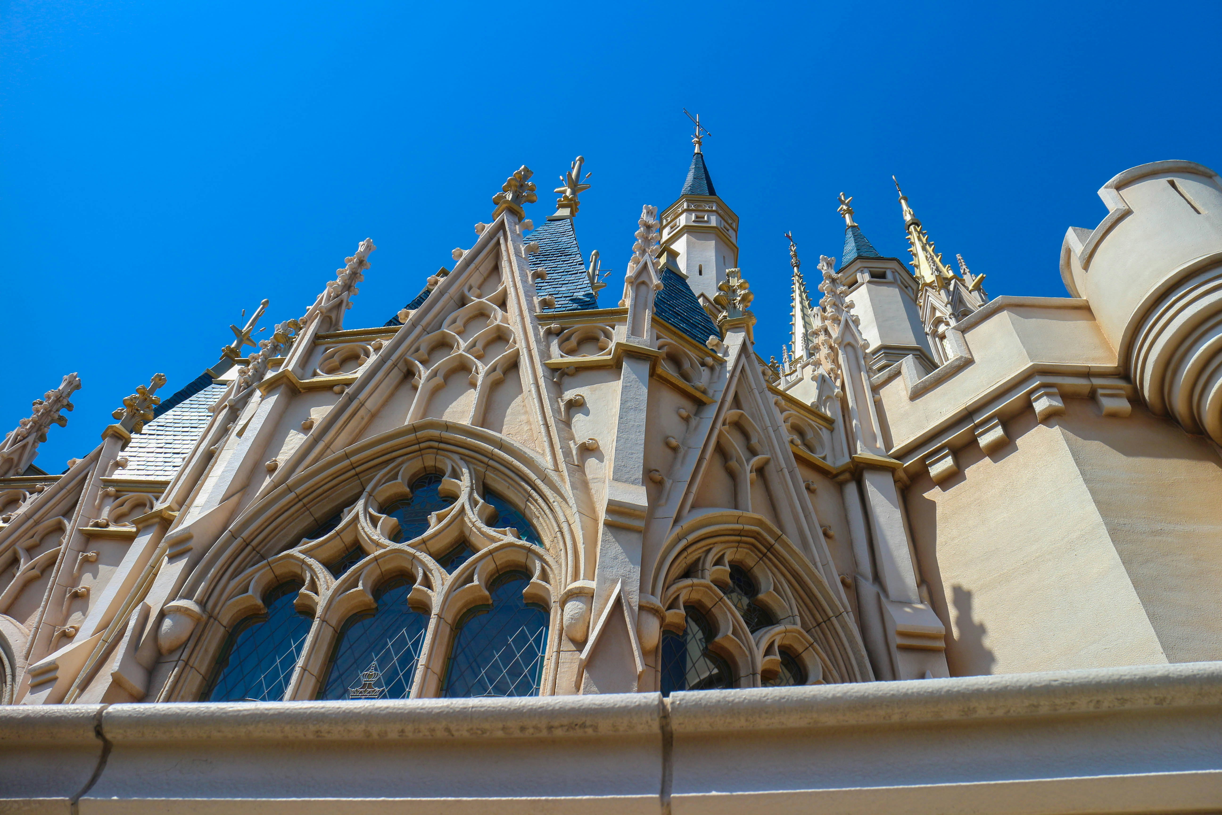 初心者必見 ディズニーで持ち歩きするオススメカメラはミラーレス 一眼レフ Dislog