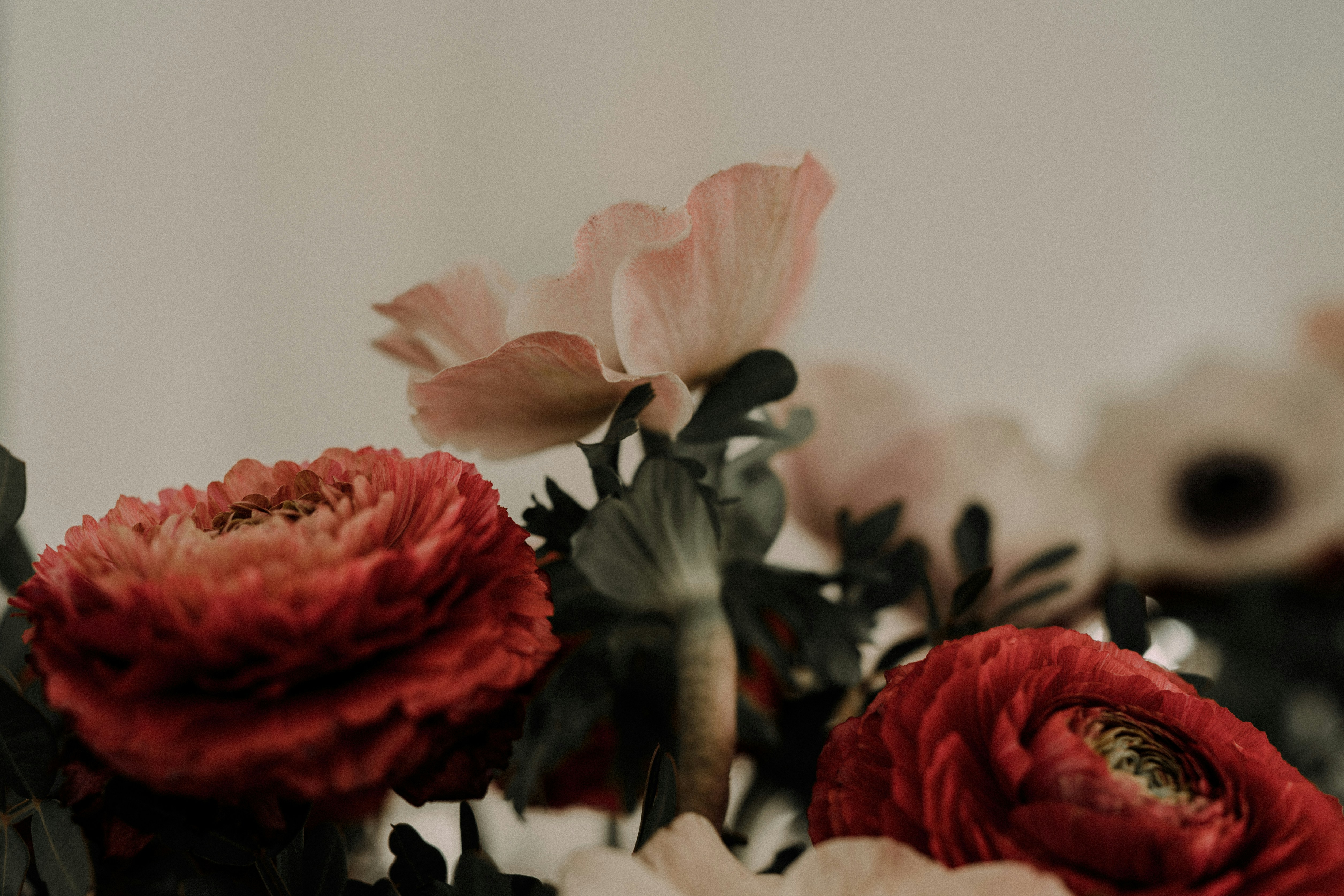 Photo by cate_brodersen