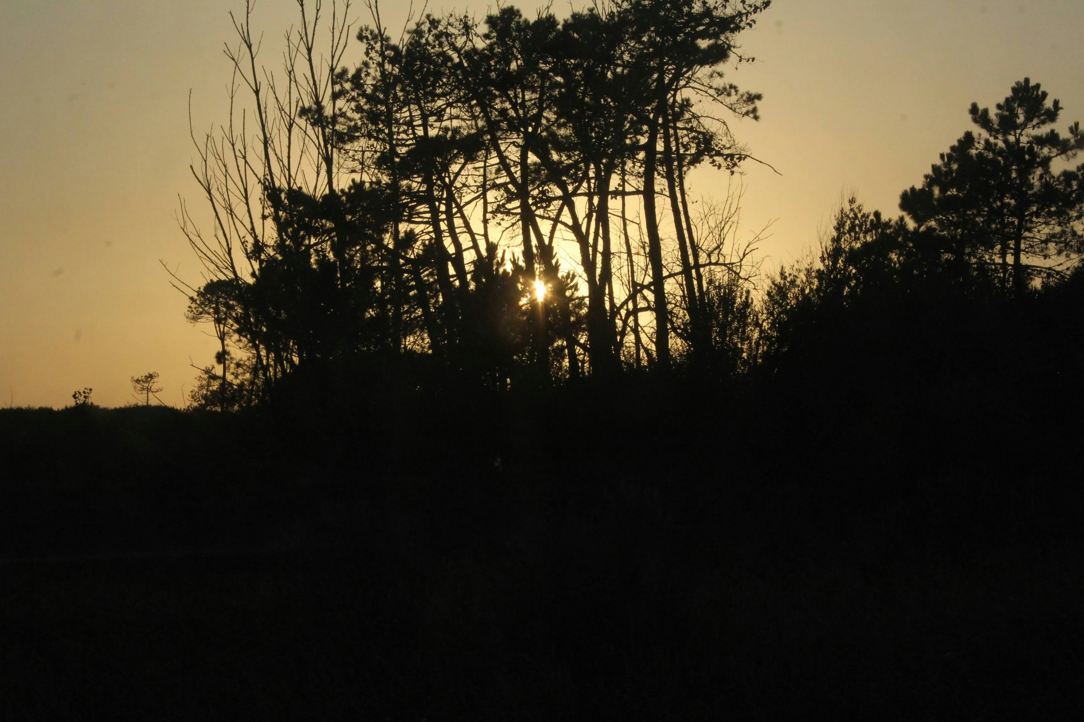 Photo by rafapalomera