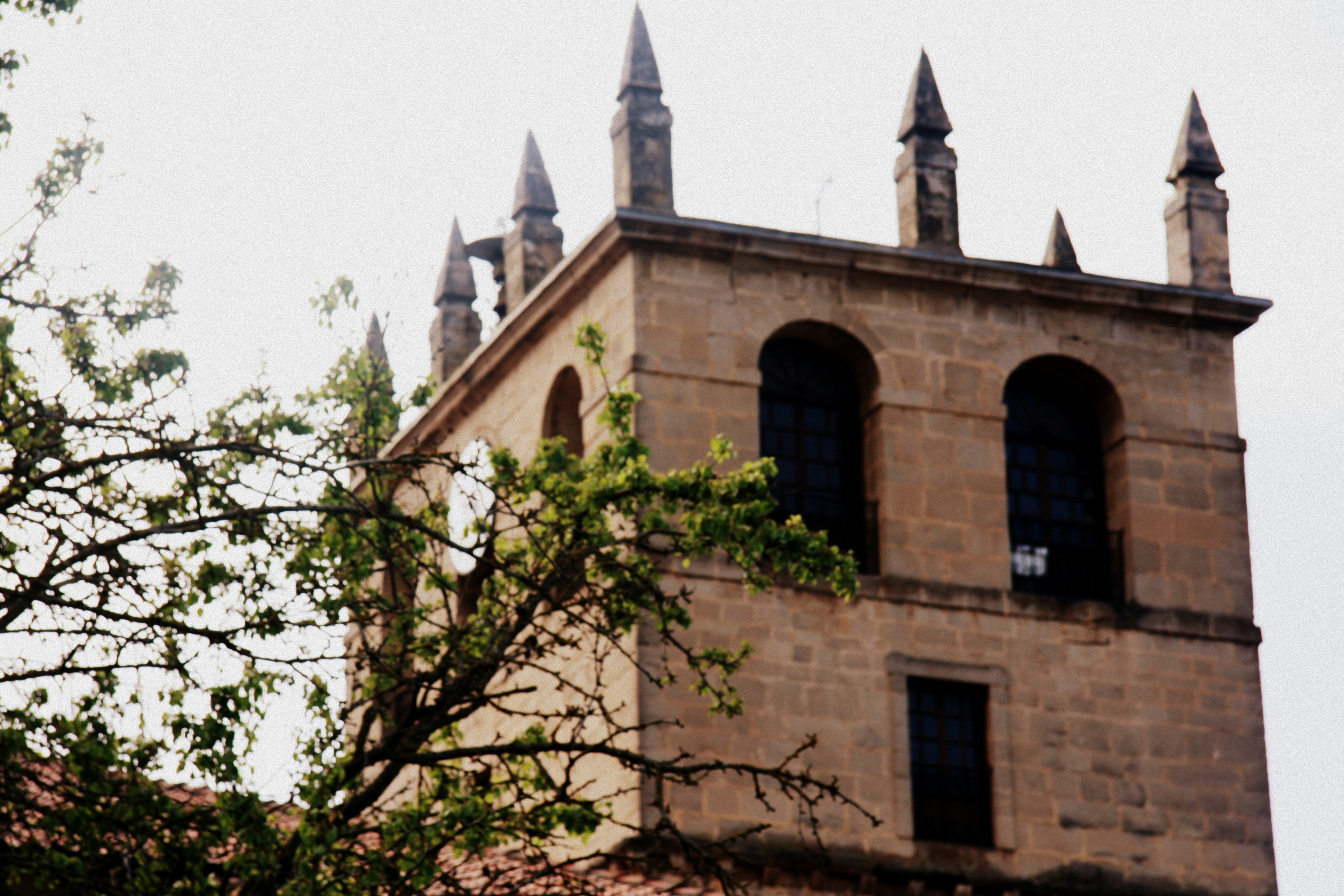 Photo by rafapalomera