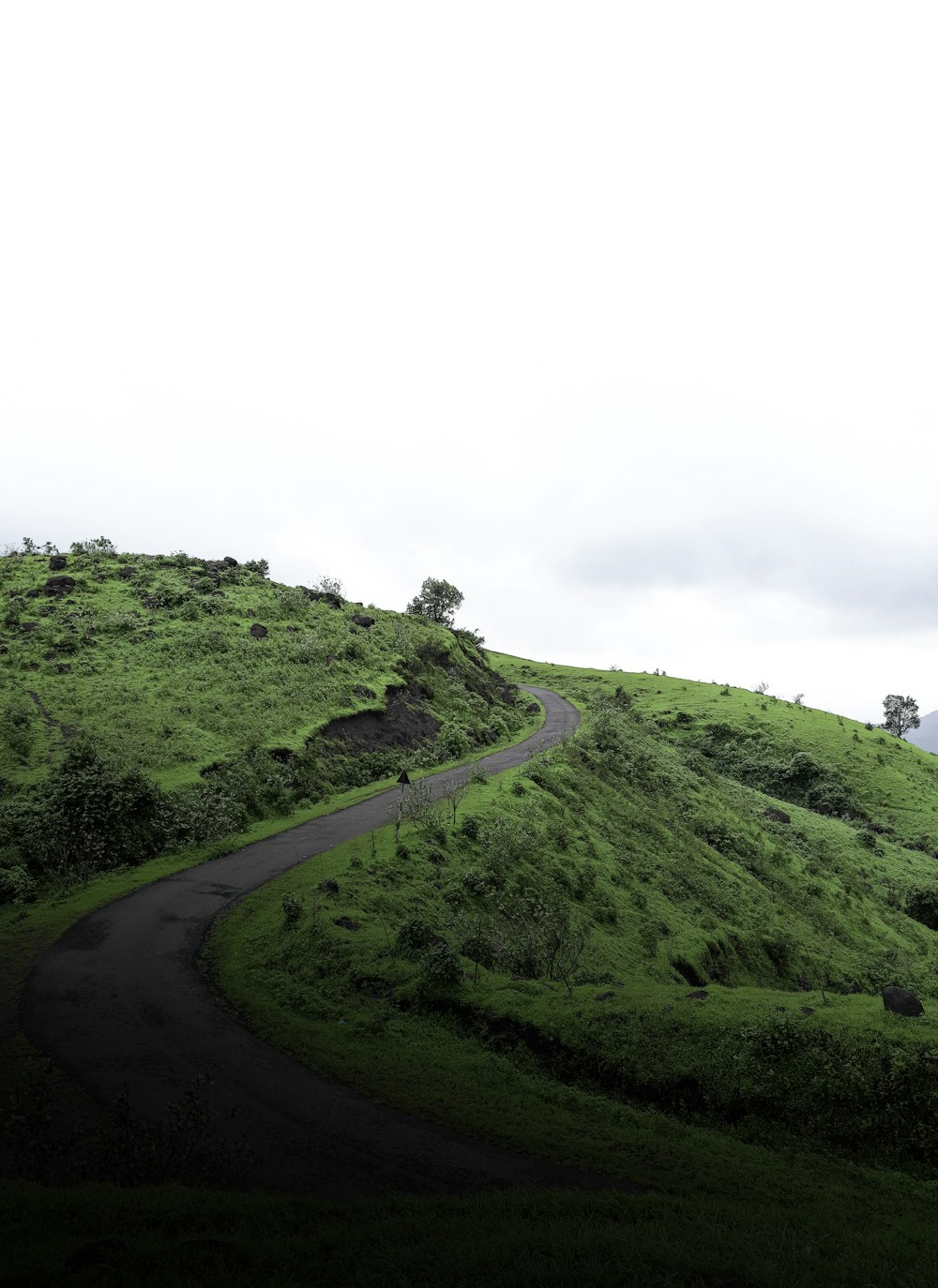 a hill with a winding road going up it