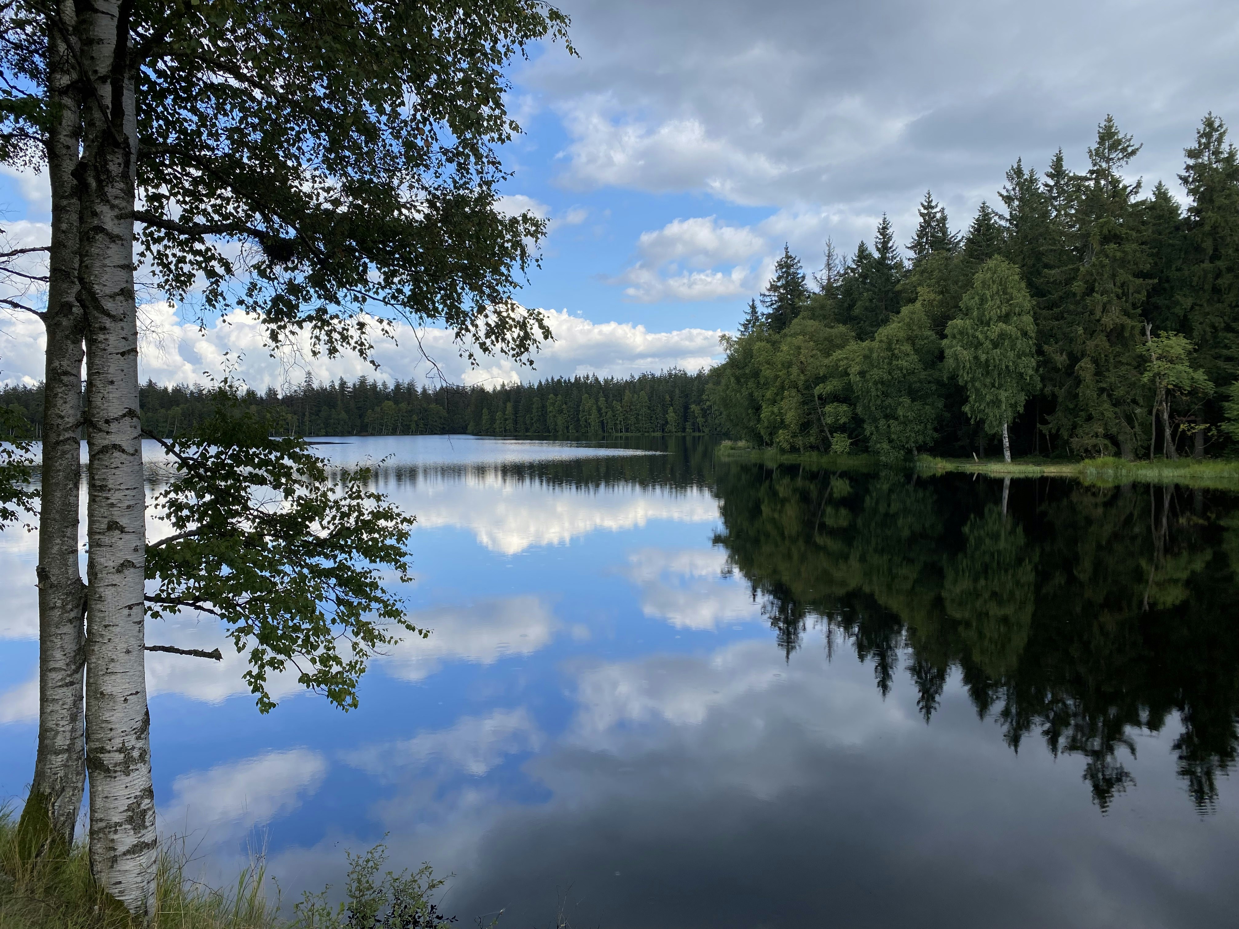 a lake surrounded by trees and a cloudy sky