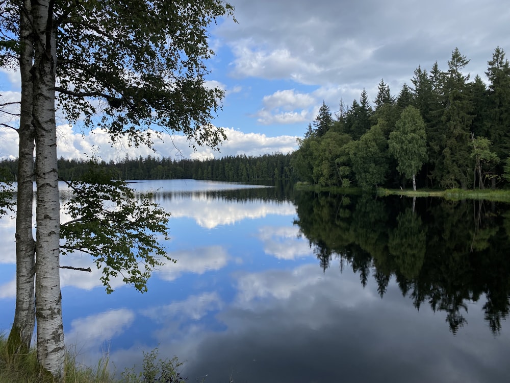 a lake surrounded by trees and a cloudy sky