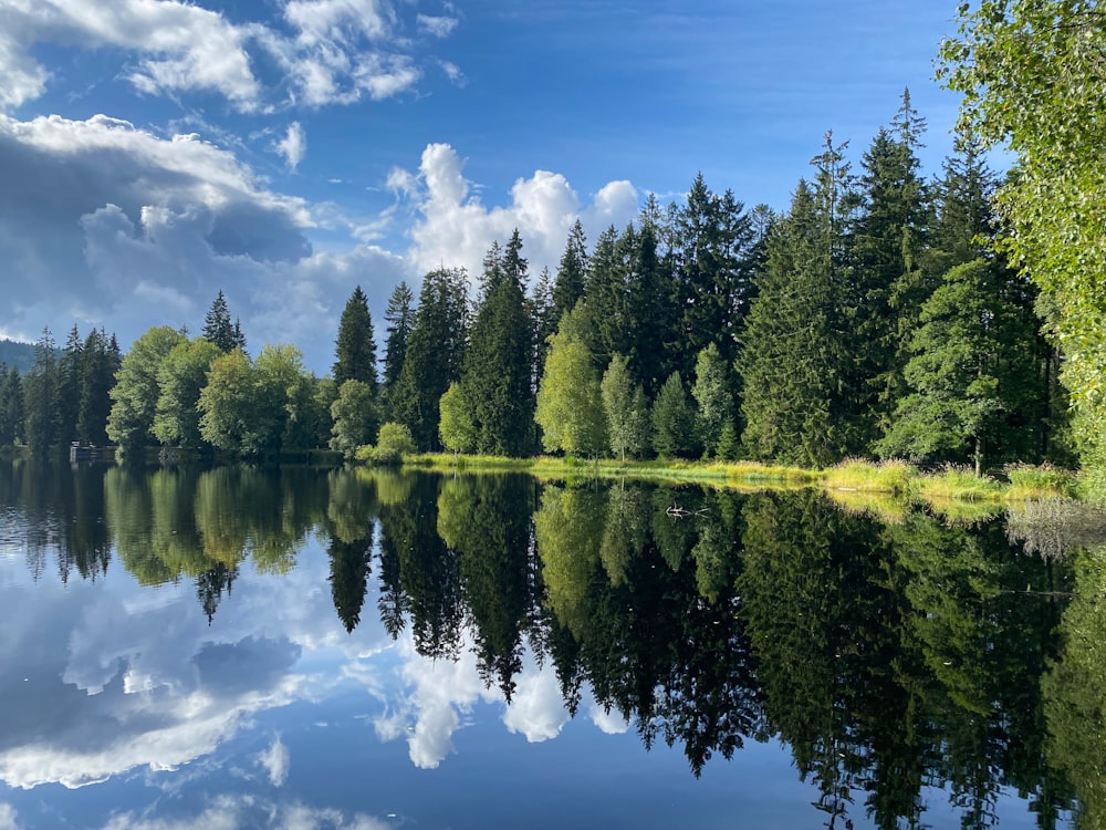 uno specchio d'acqua circondato da alberi e nuvole