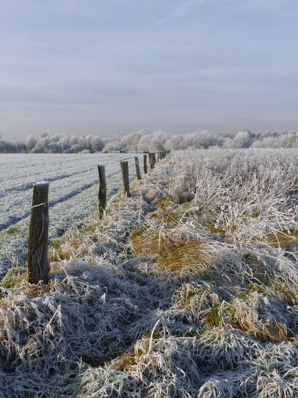 a field covered in frost next to a fence