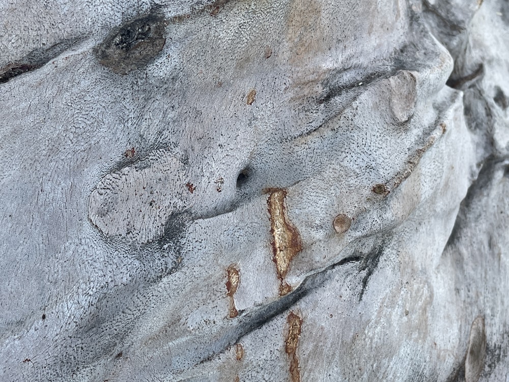 a close up view of a rock face