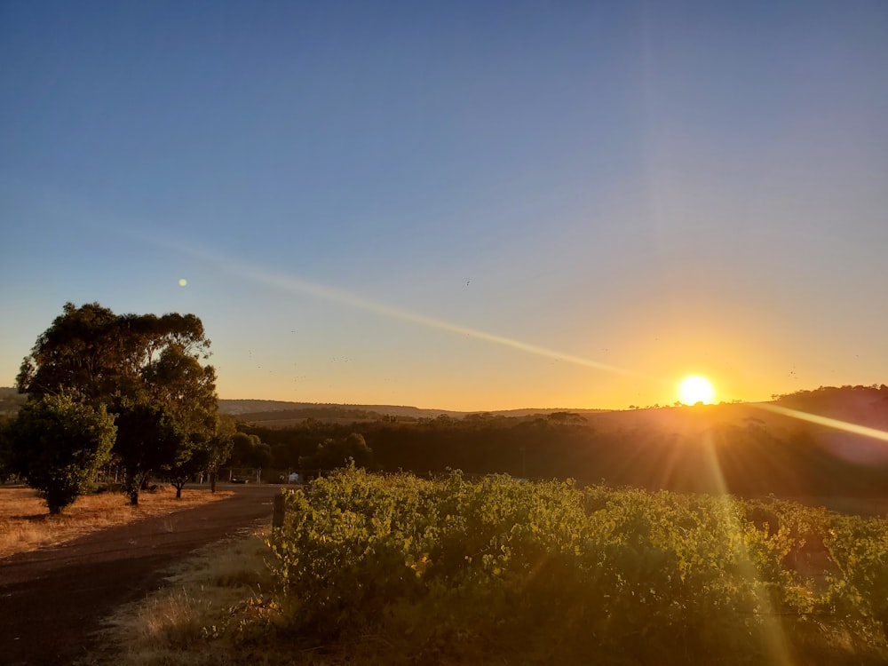 the sun is setting over a field with trees