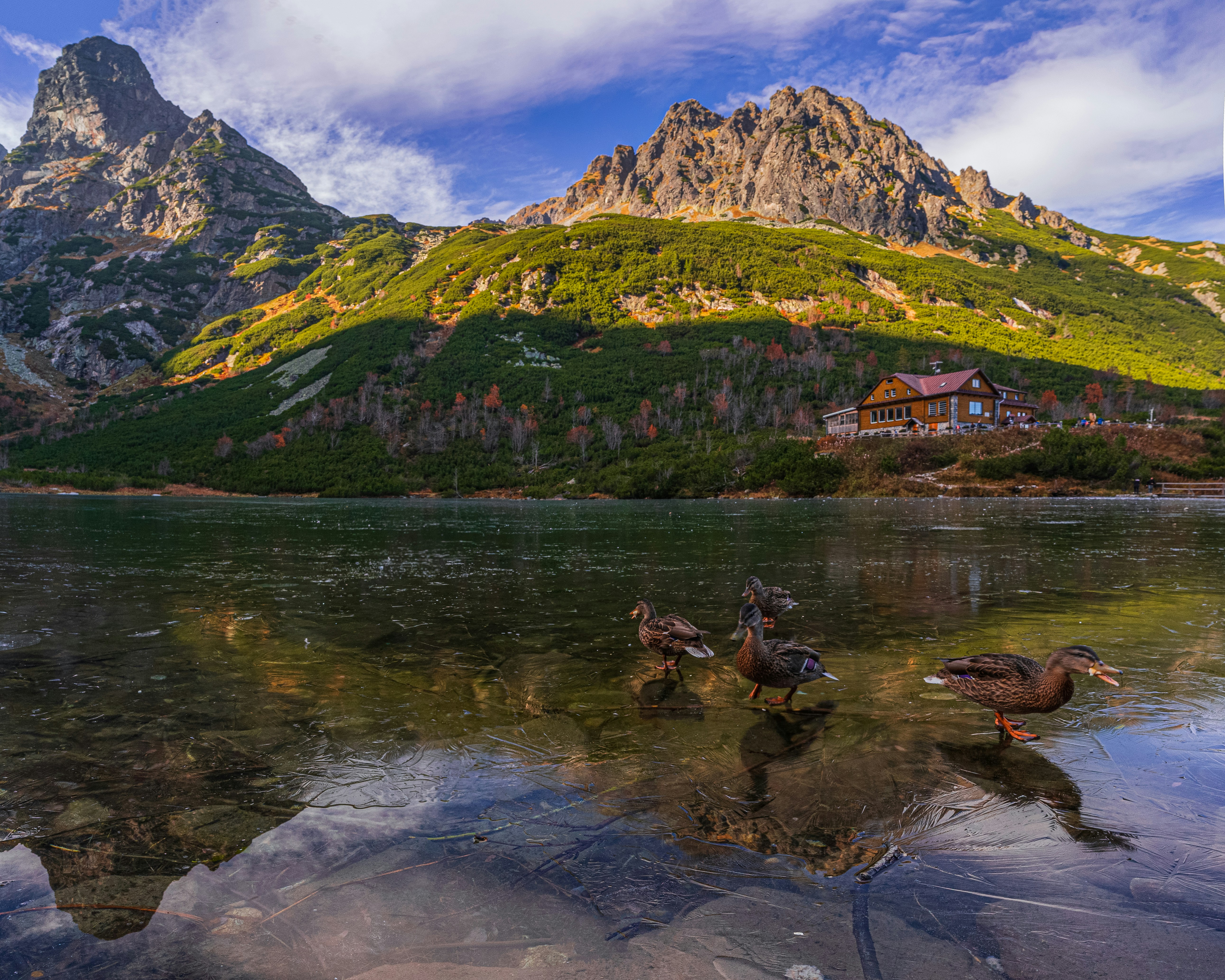 Photo by filipmicunda_