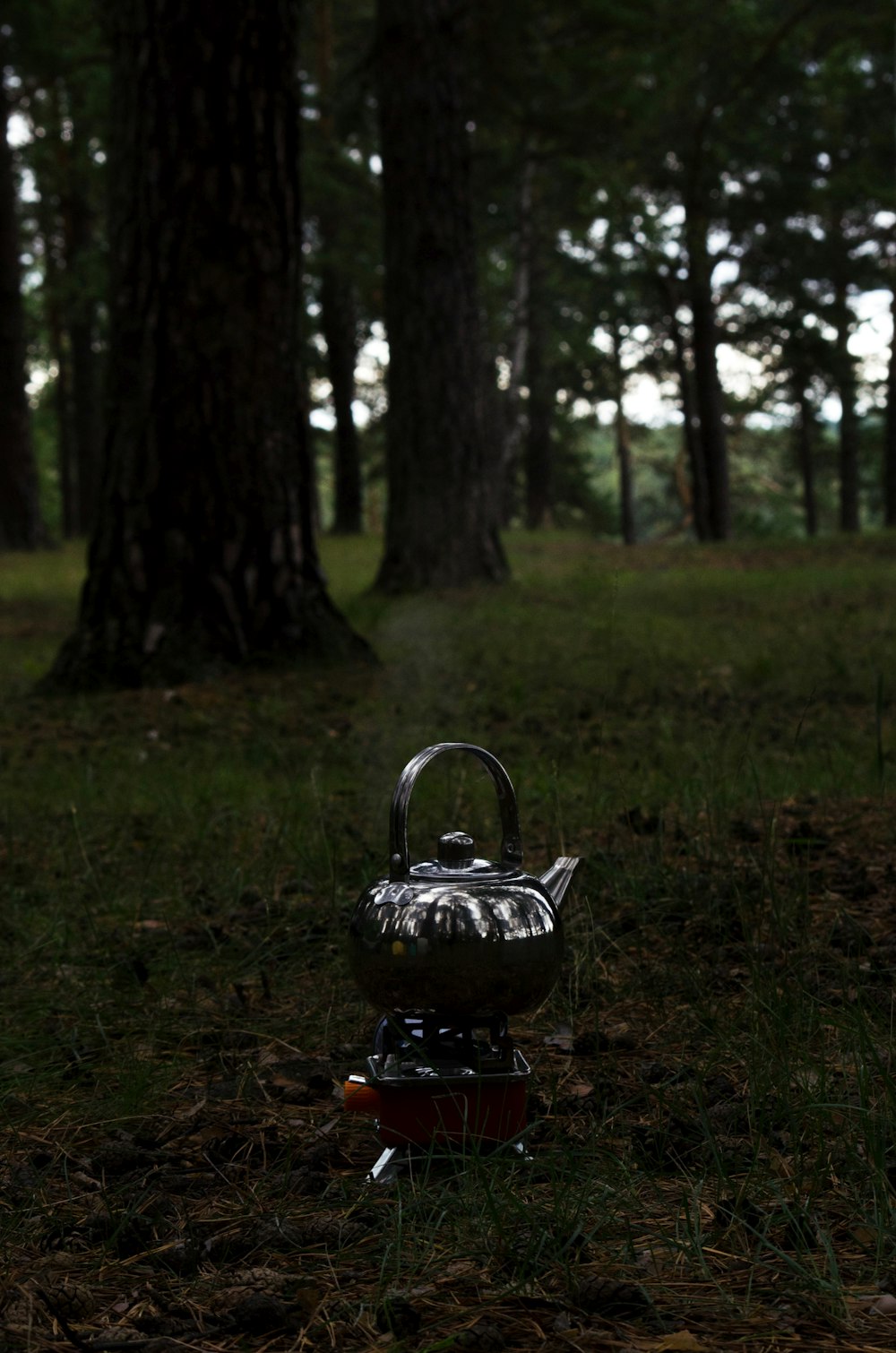 a tea kettle sitting in the middle of a forest