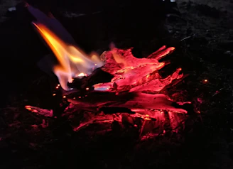 Close-up of a crackling campfire glowing warmly during night survival camp.
