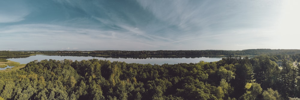 an aerial view of a lake surrounded by trees