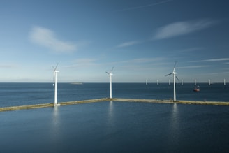 a row of wind turbines next to a body of water