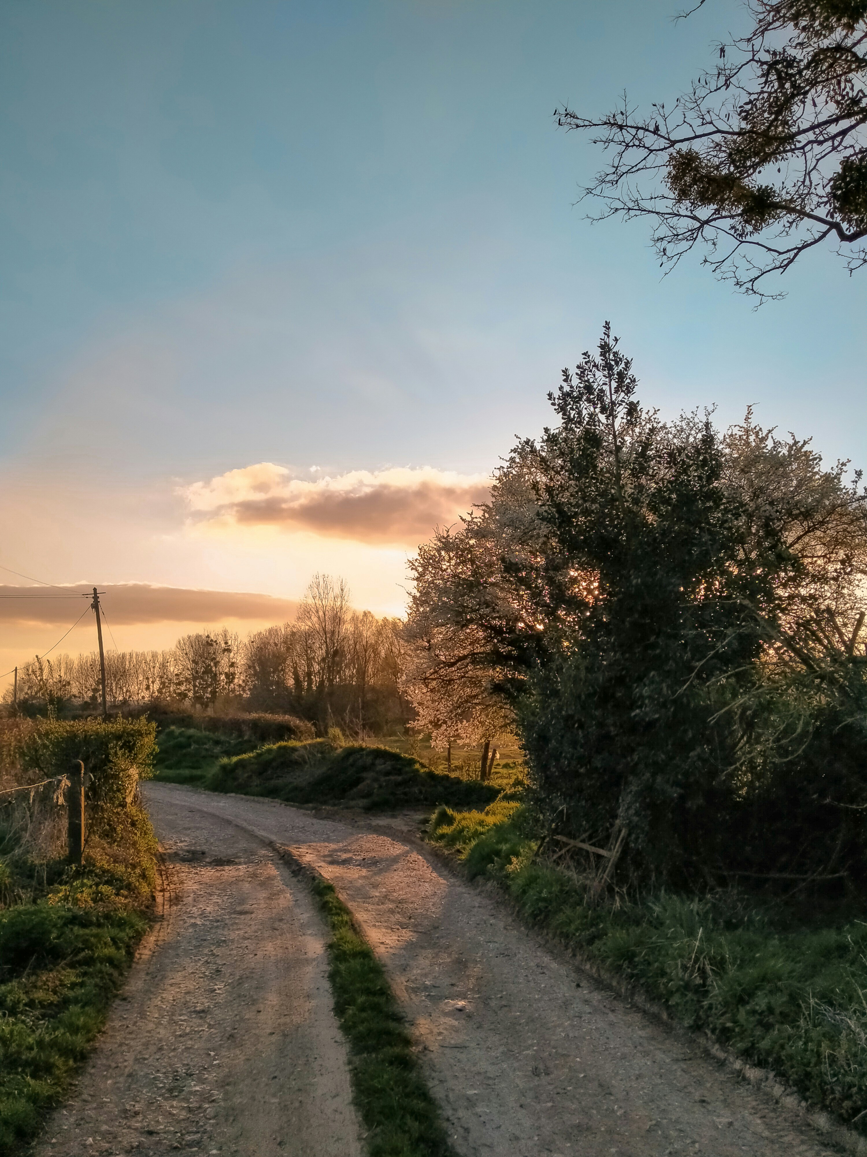 Photo by lemondeavecandrea