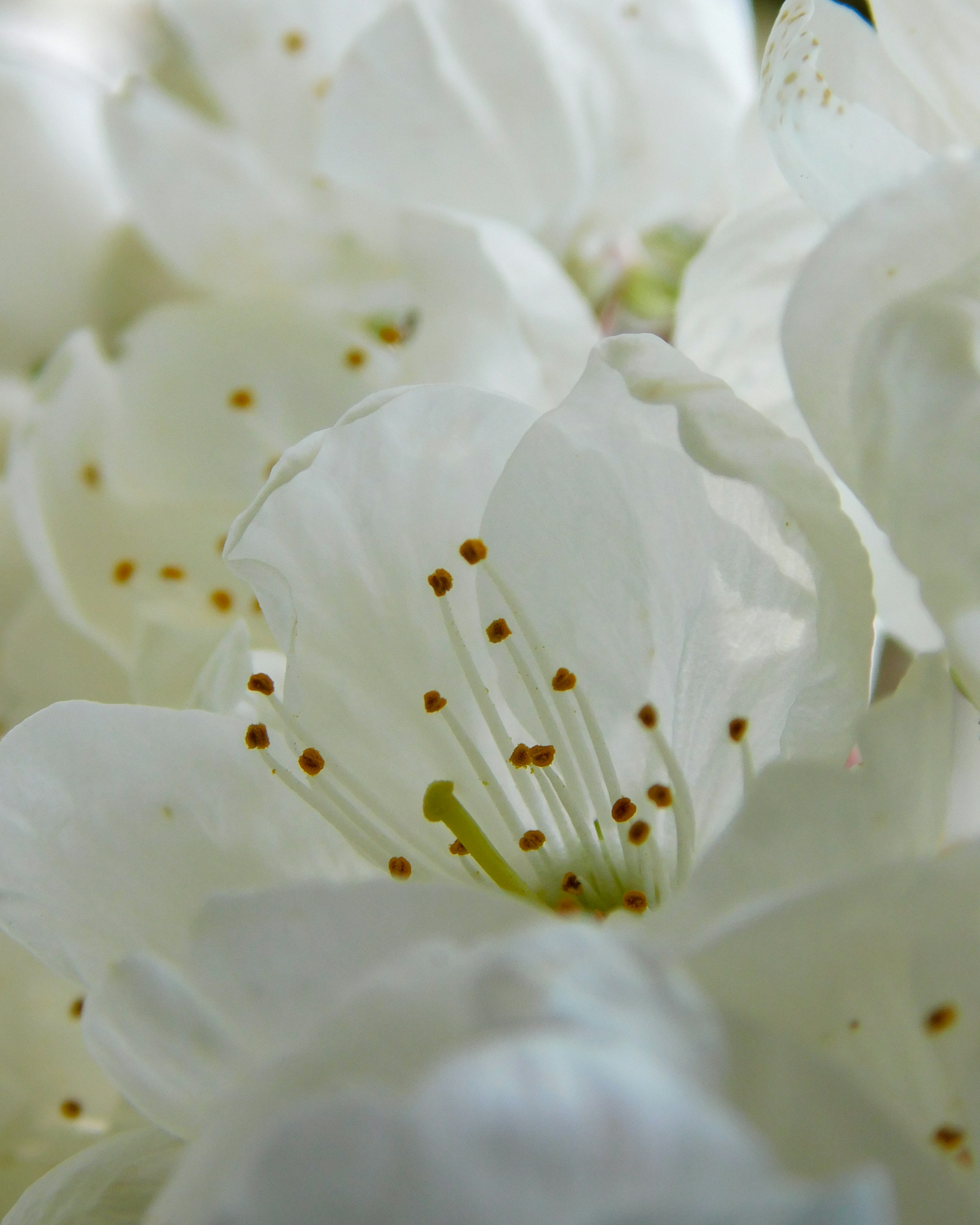 Photo by lemondeavecandrea