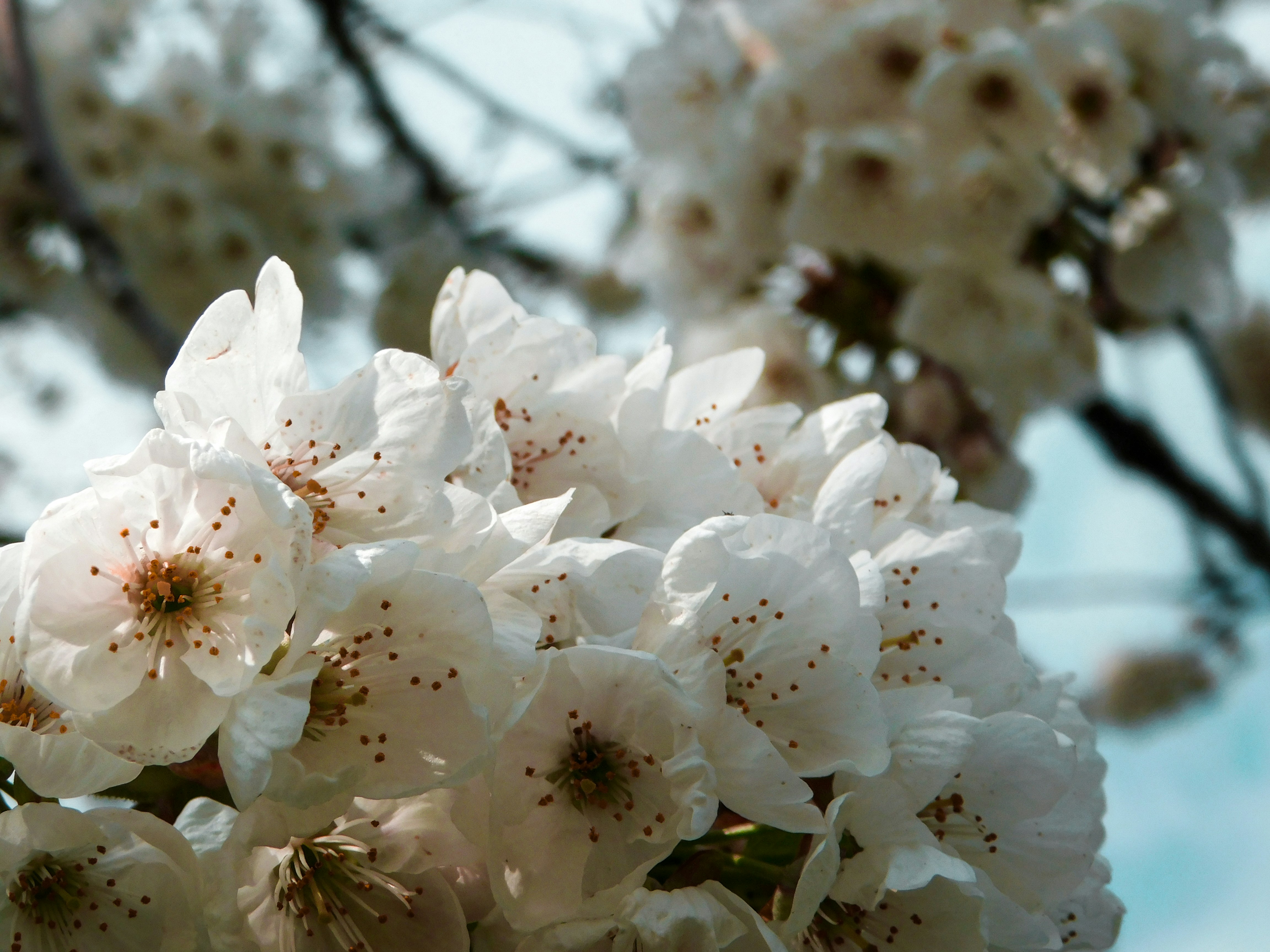 Photo by lemondeavecandrea