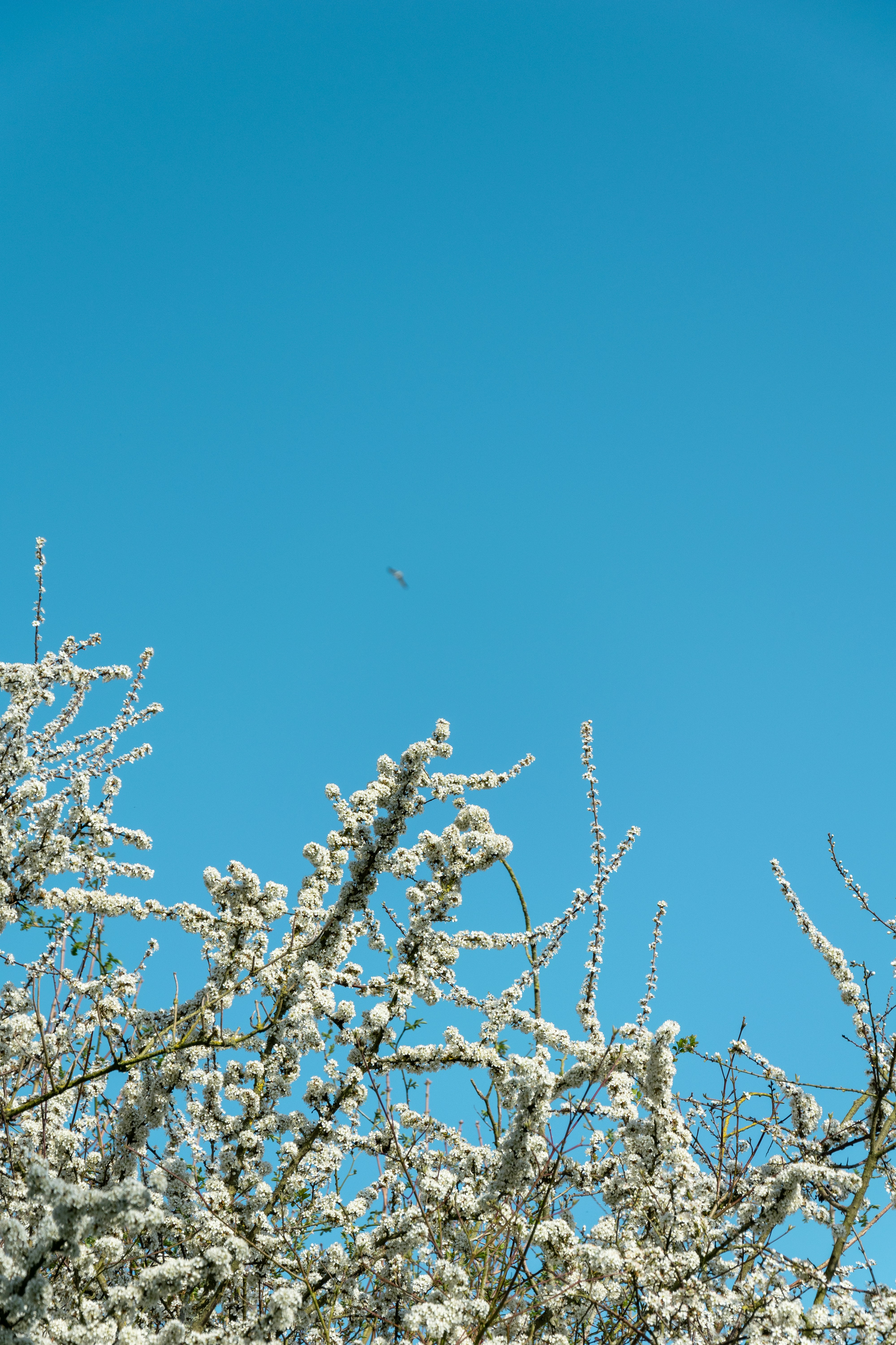 Photo by lemondeavecandrea