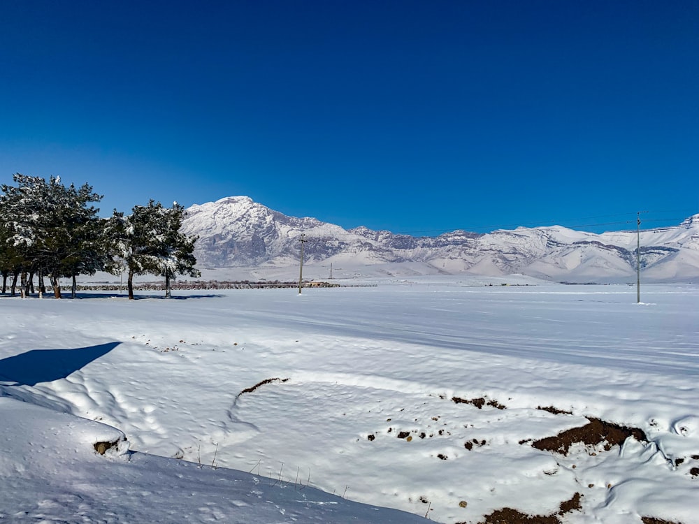 a snow covered field with trees and mountains in the background