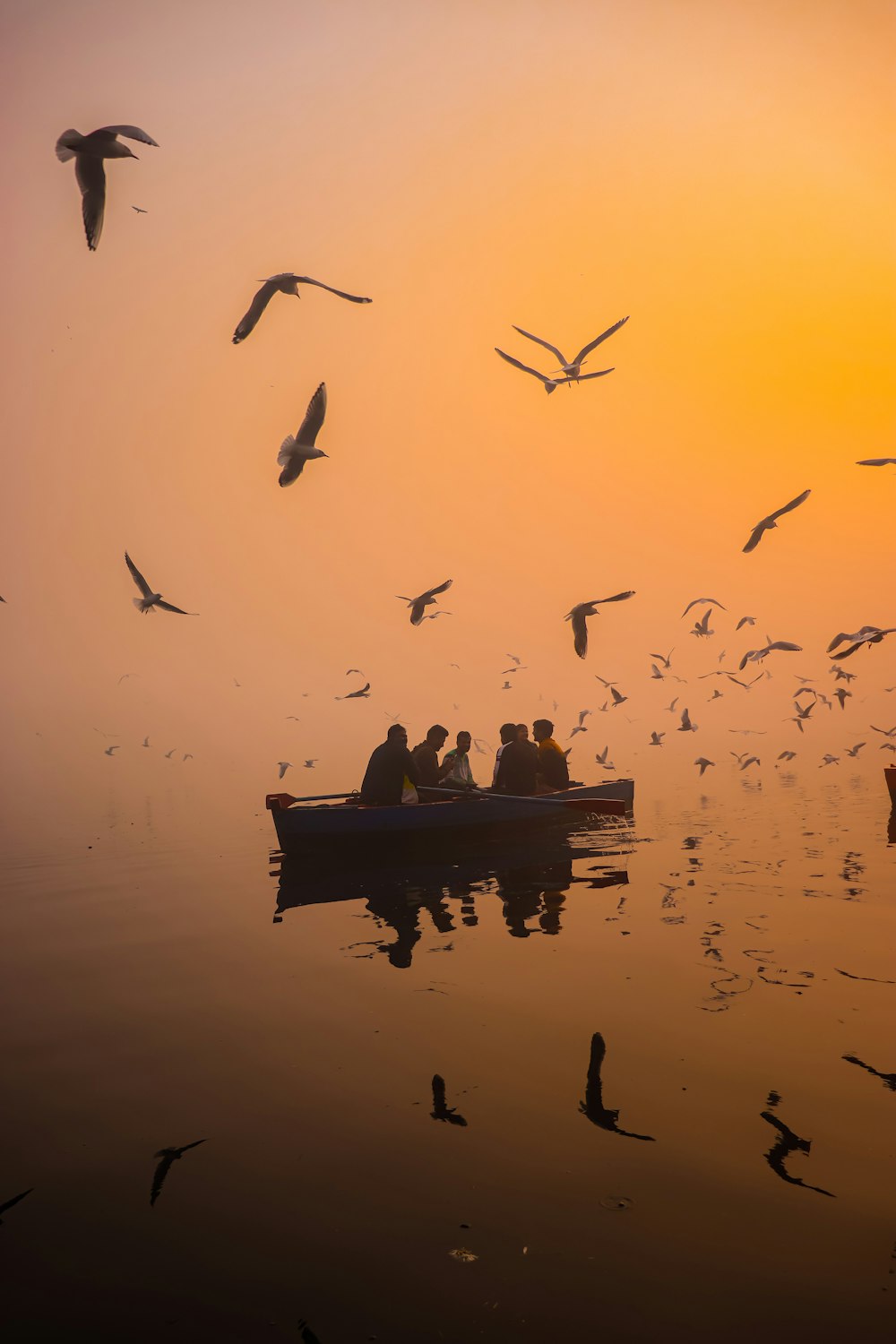 a flock of birds flying over a boat on a body of water