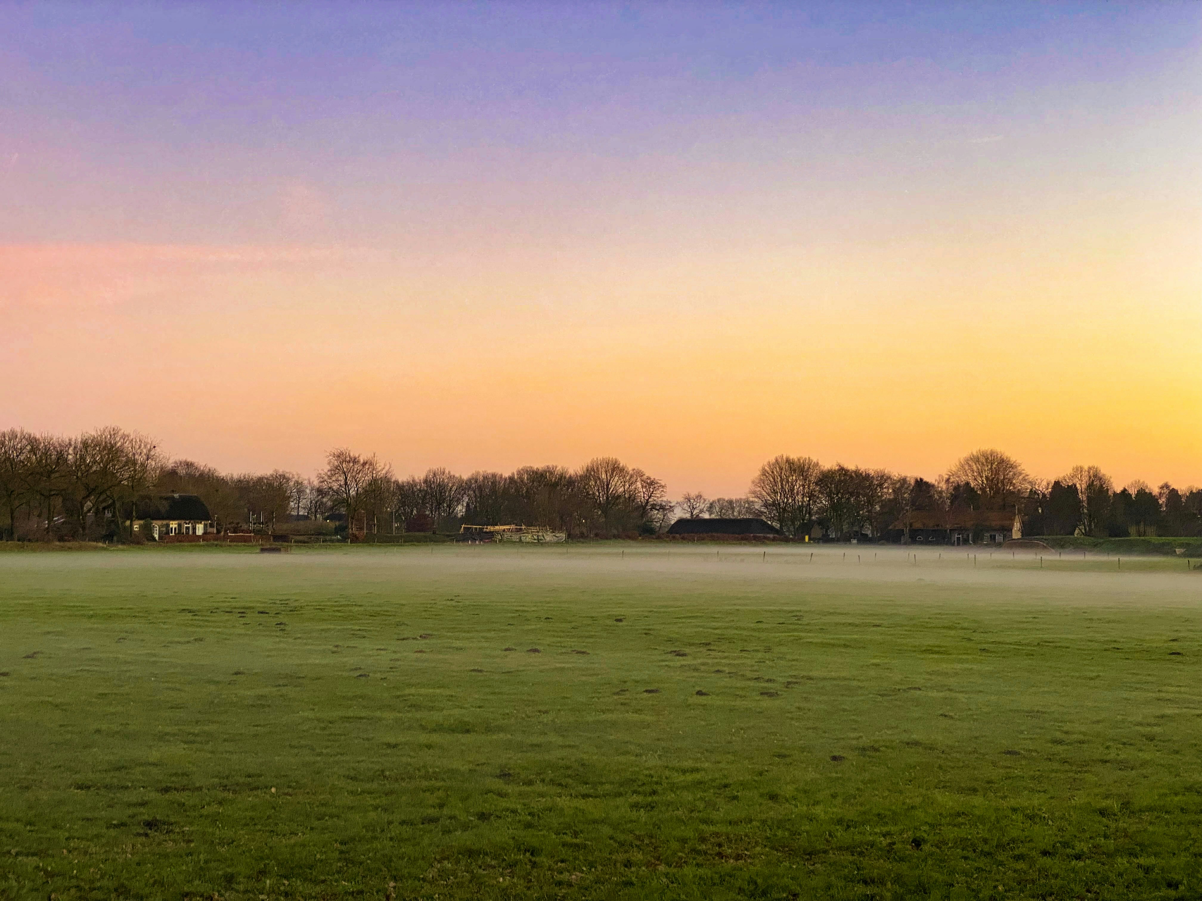 Afbeelding van Kamerik