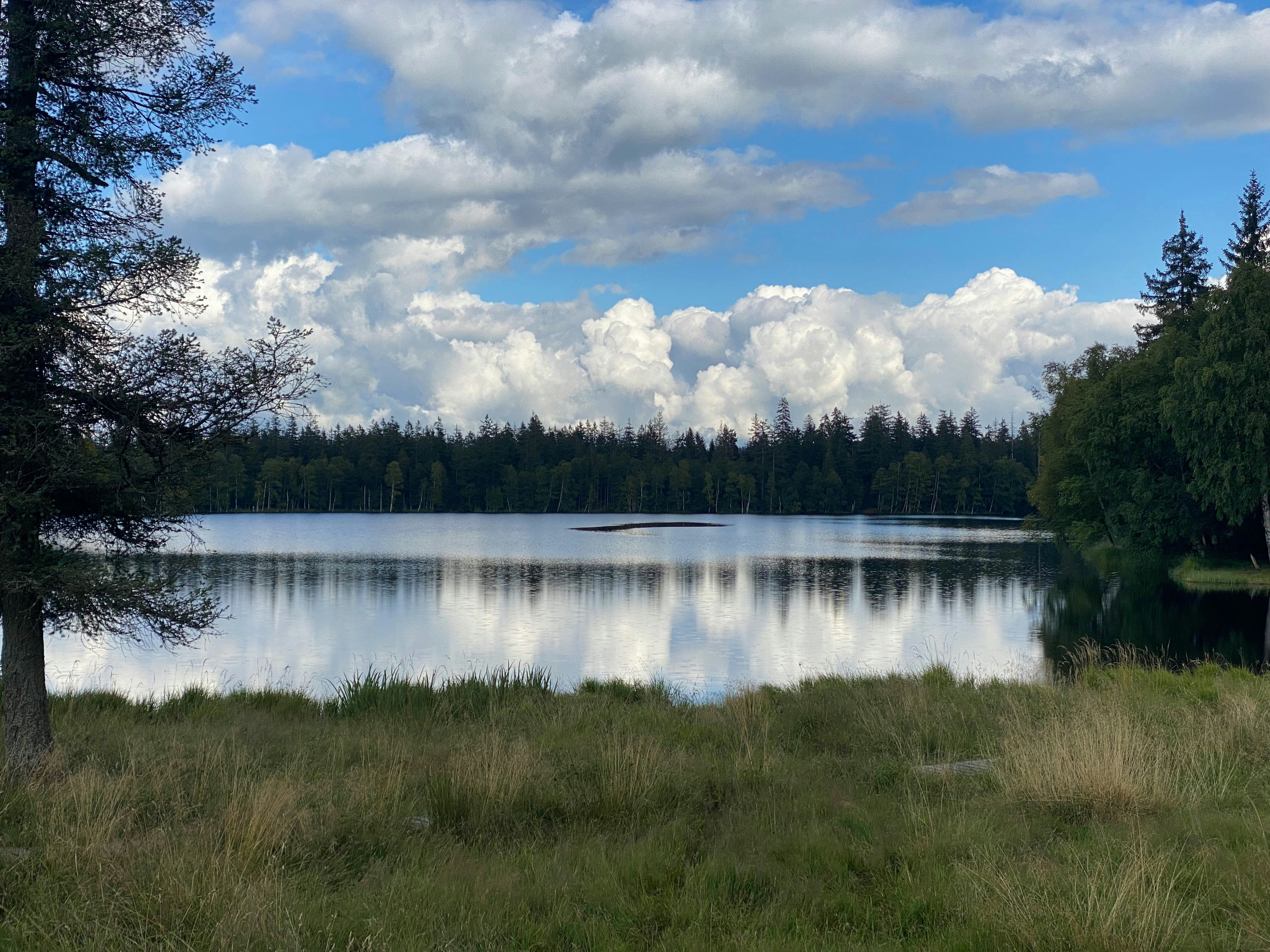 Photo by datingjungle