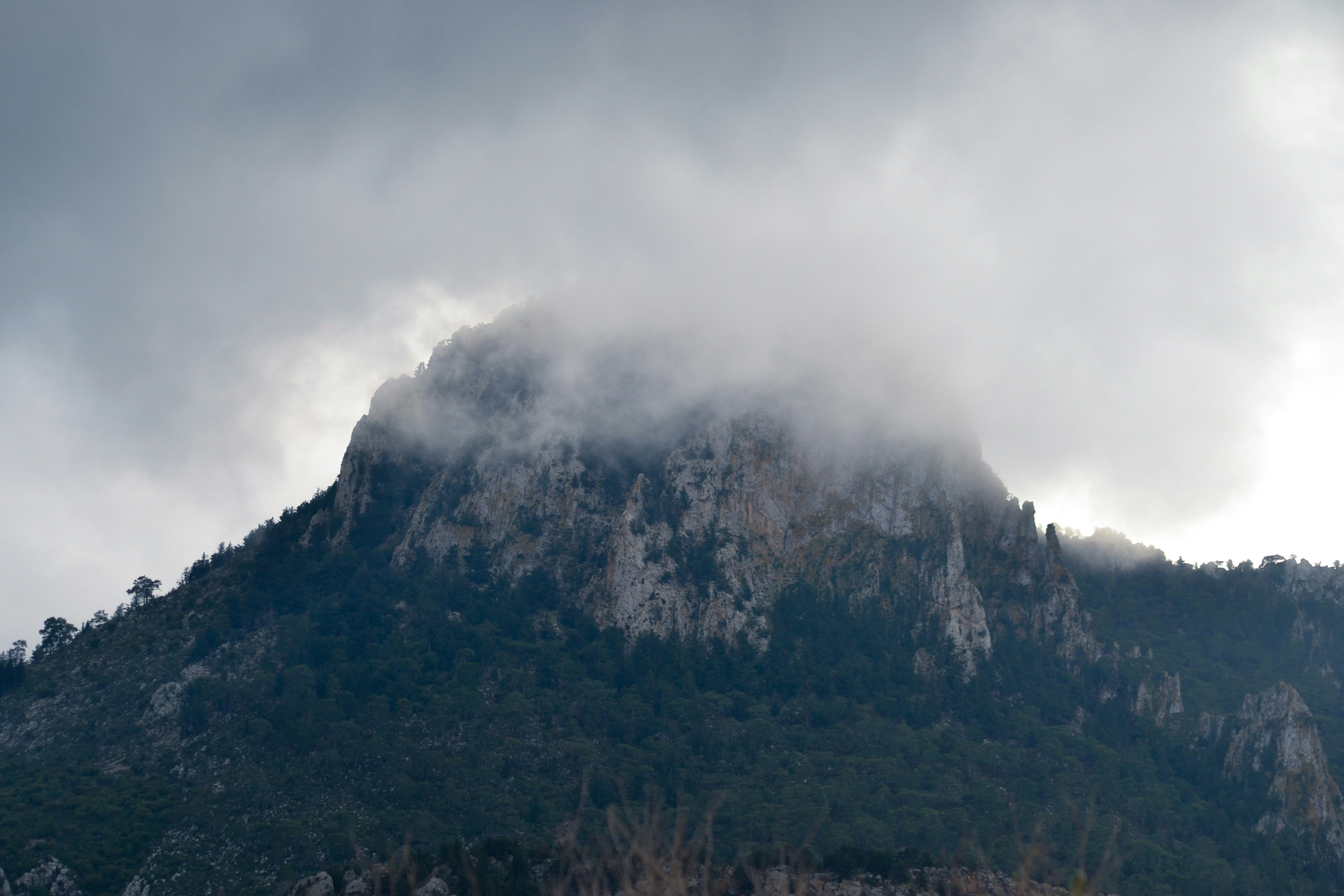 Photo by felixgething