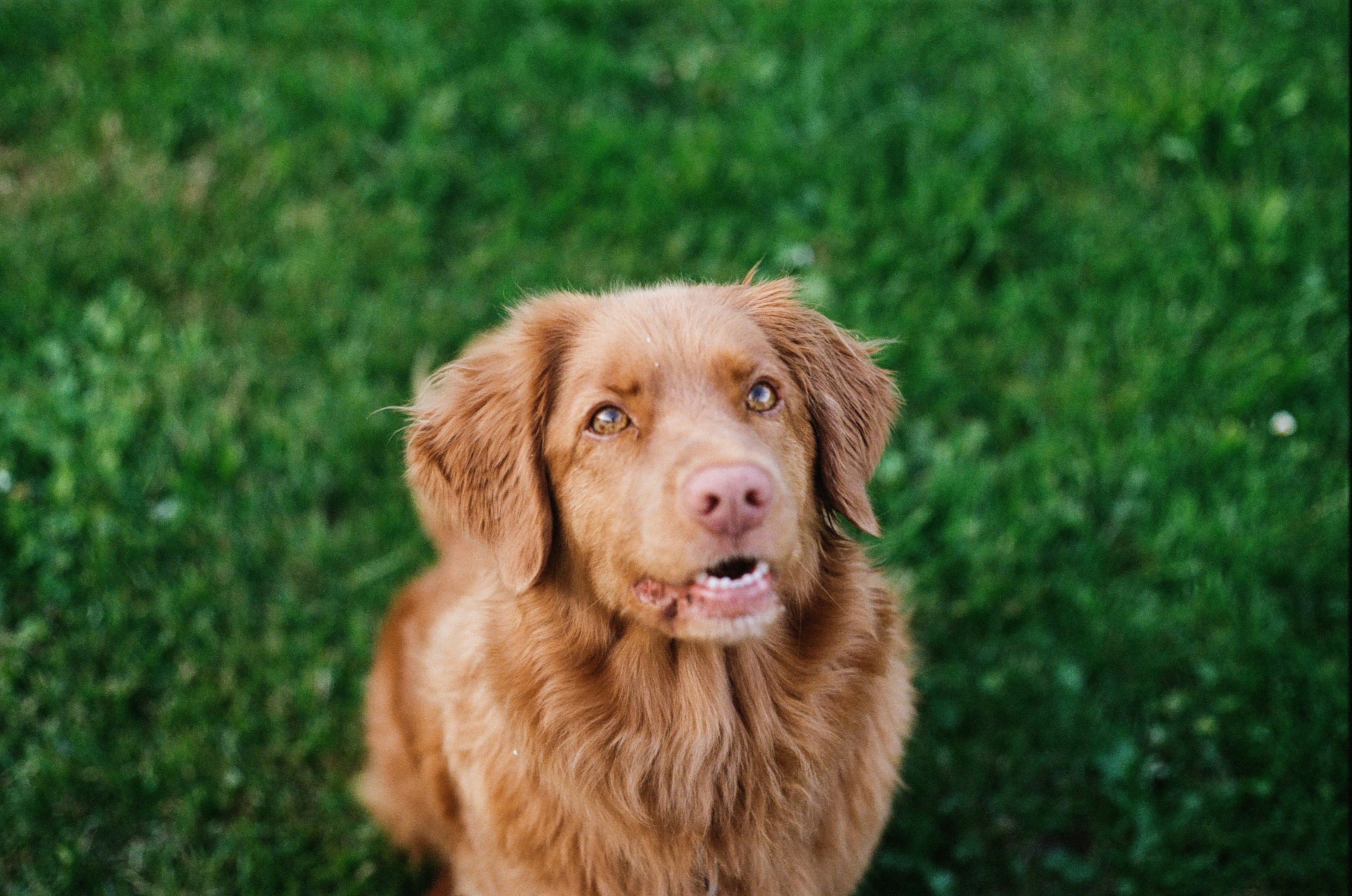 Photo by oliver_schweizer