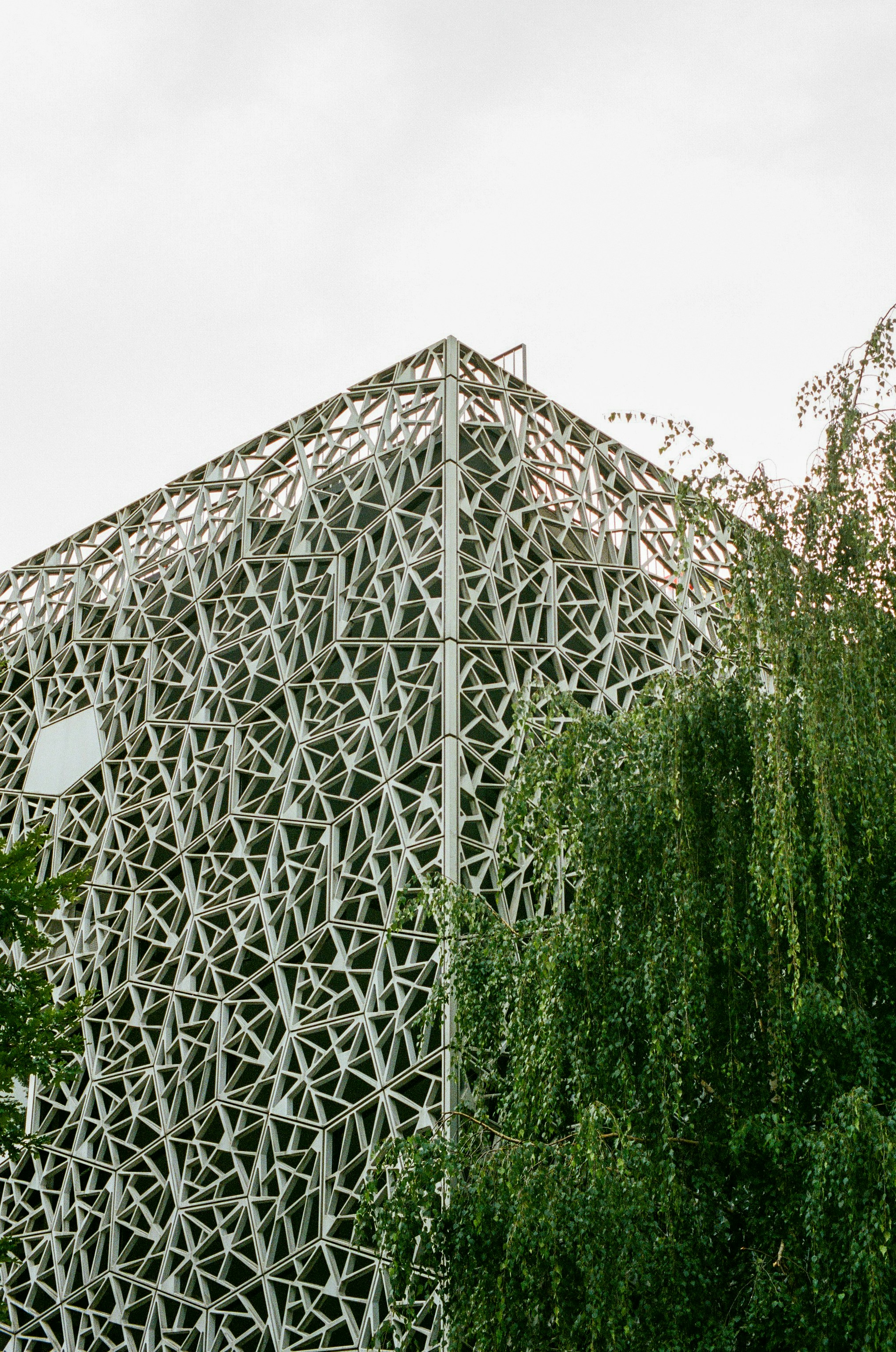 Un bâtiment fait de bâtons et d’arbres