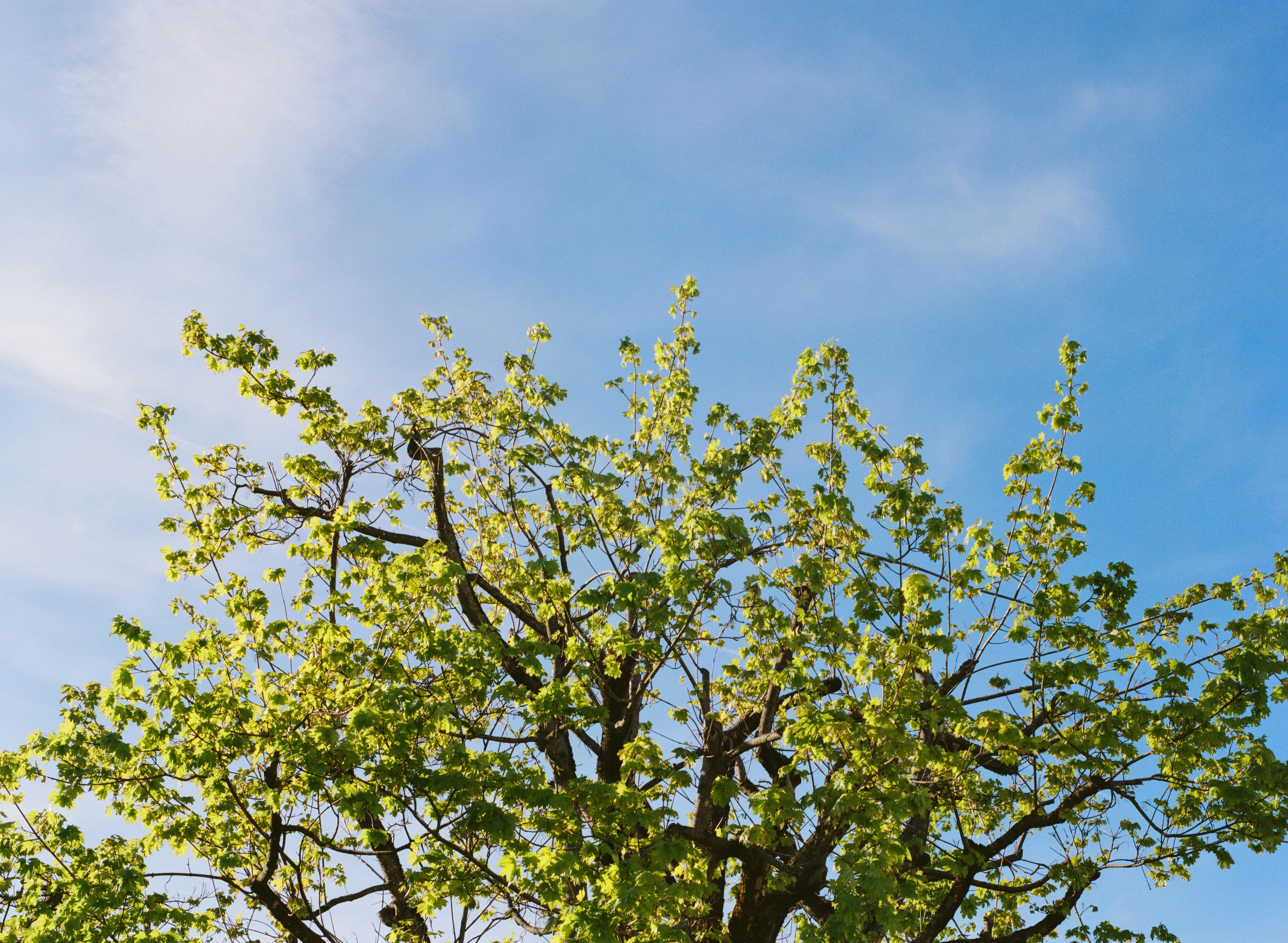 Photo by oliver_schweizer