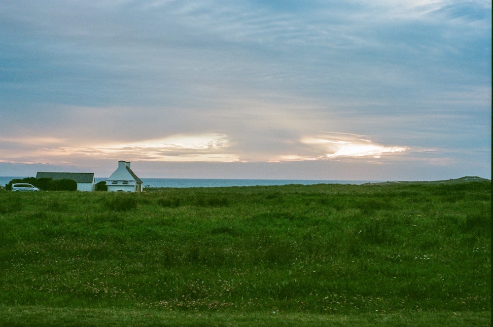 a grassy field with a bench in the middle of it