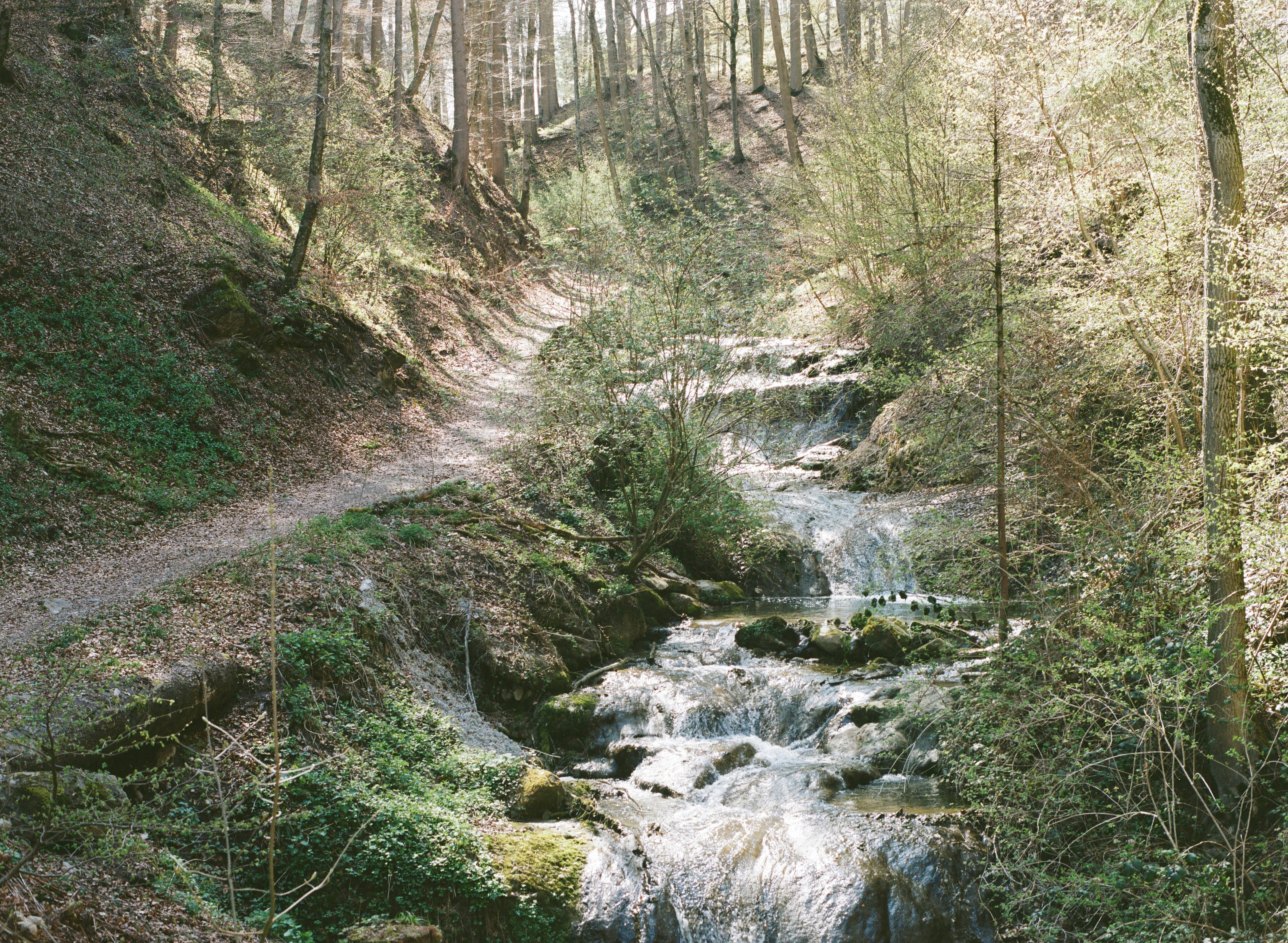 Photo by oliver_schweizer